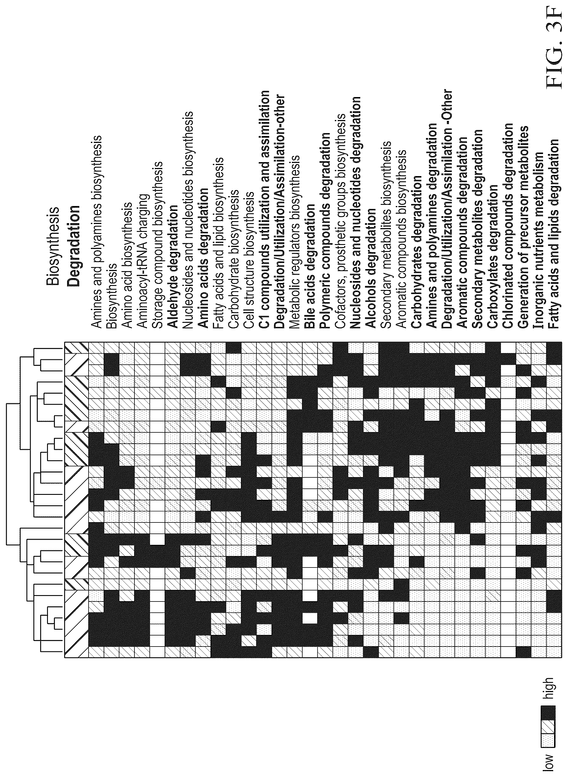 Patent US12310996 Figure 18 – Methods for enhancing immune checkpoint blockade therapy by modulating the microbiome