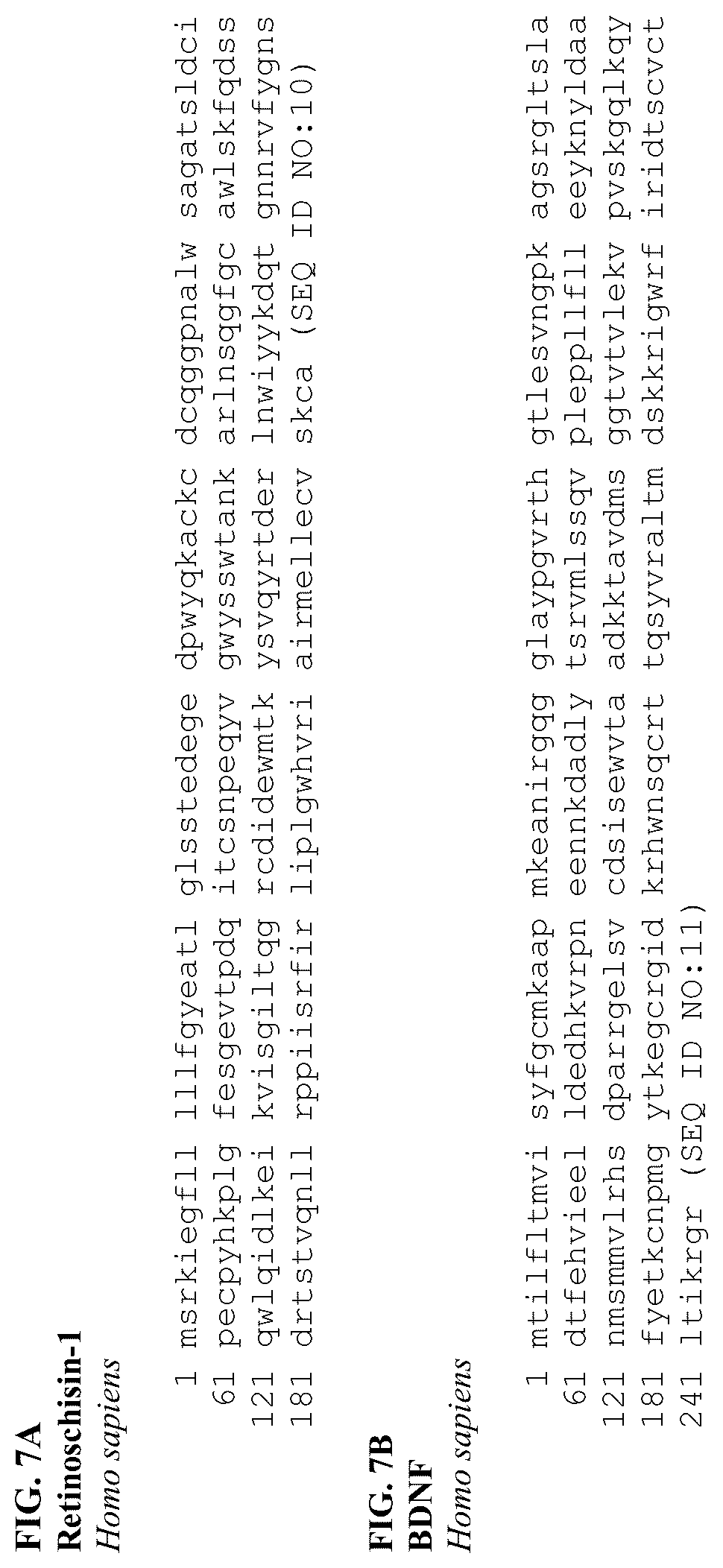 Patent US12310997 Figure 11 – Compositions and methods of treating ocular diseases