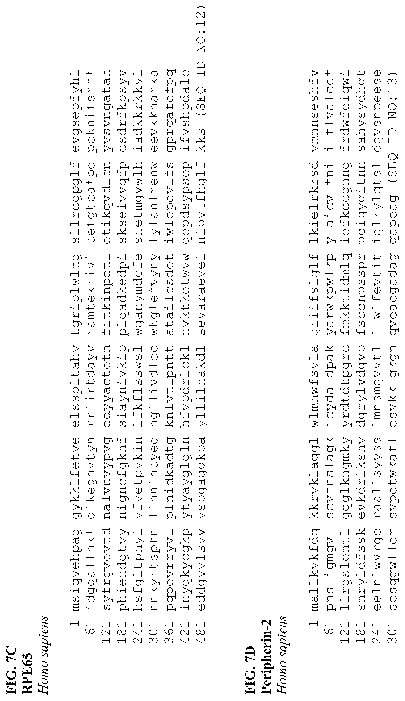 Patent US12310997 Figure 12 – Compositions and methods of treating ocular diseases