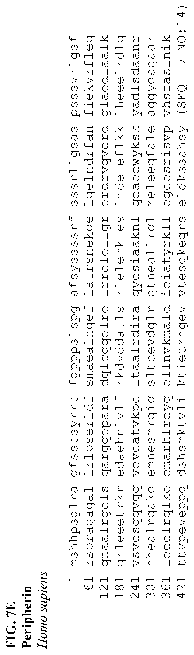 Patent US12310997 Figure 13 – Compositions and methods of treating ocular diseases