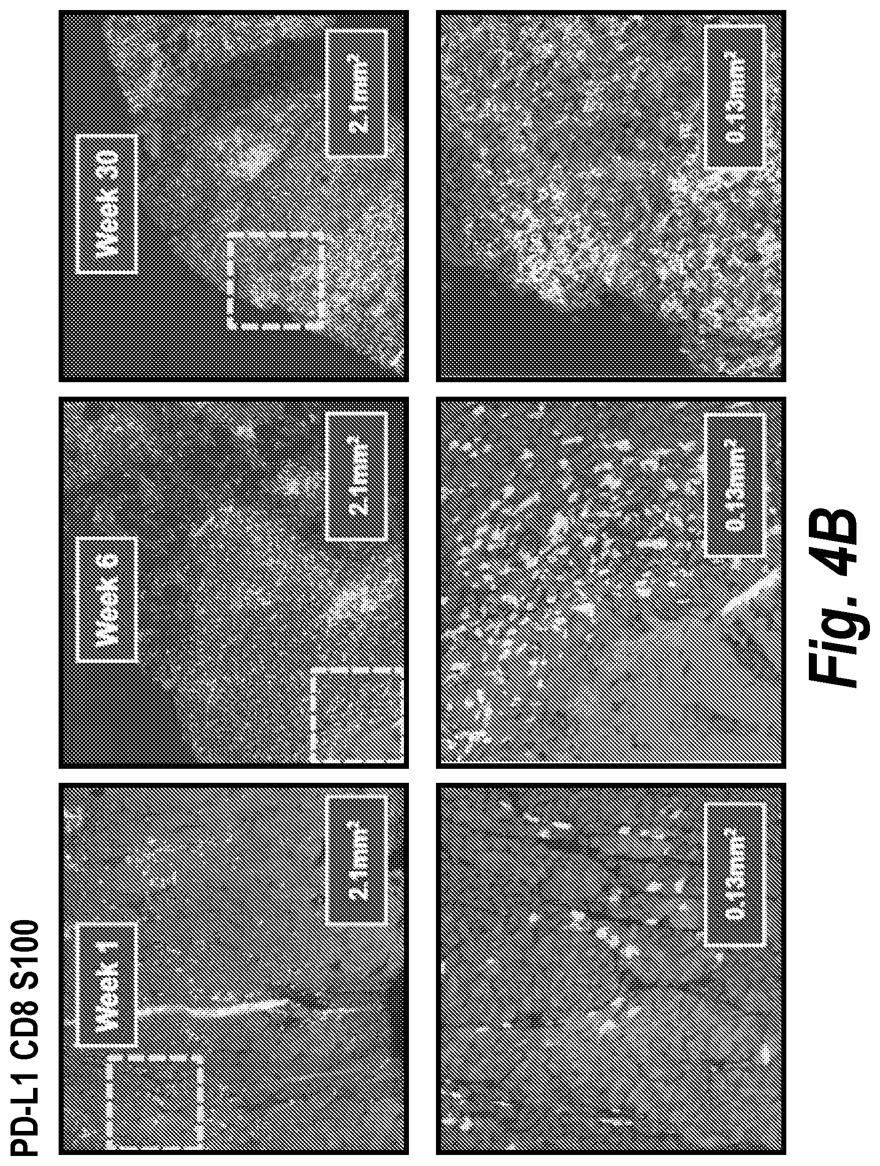 Patent US12310999 Figure 9 – Biomarkers for cancer therapeutics