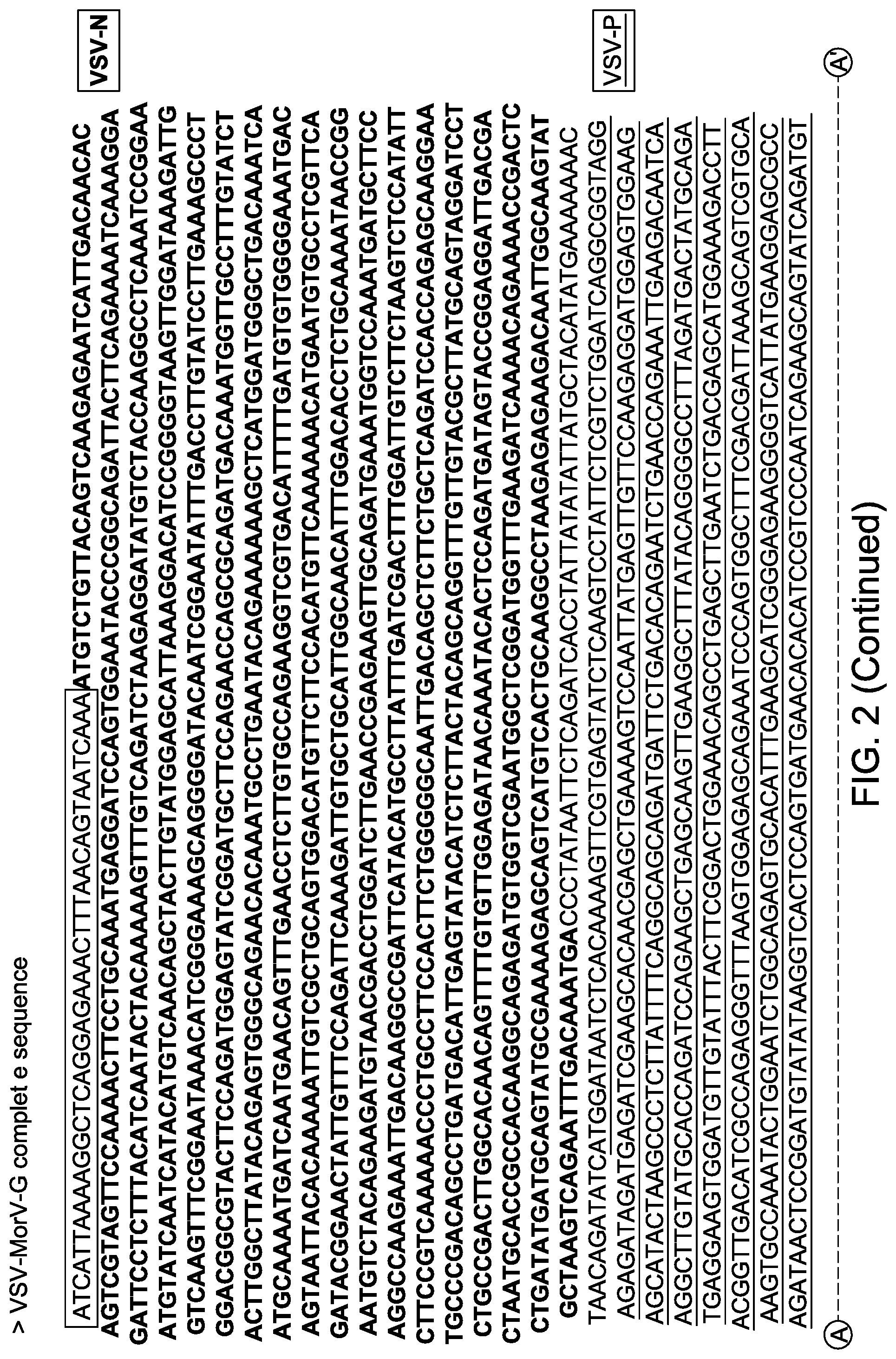 Patent US12311000 Figure 2 – Chimeric vesiculoviruses and methods of use