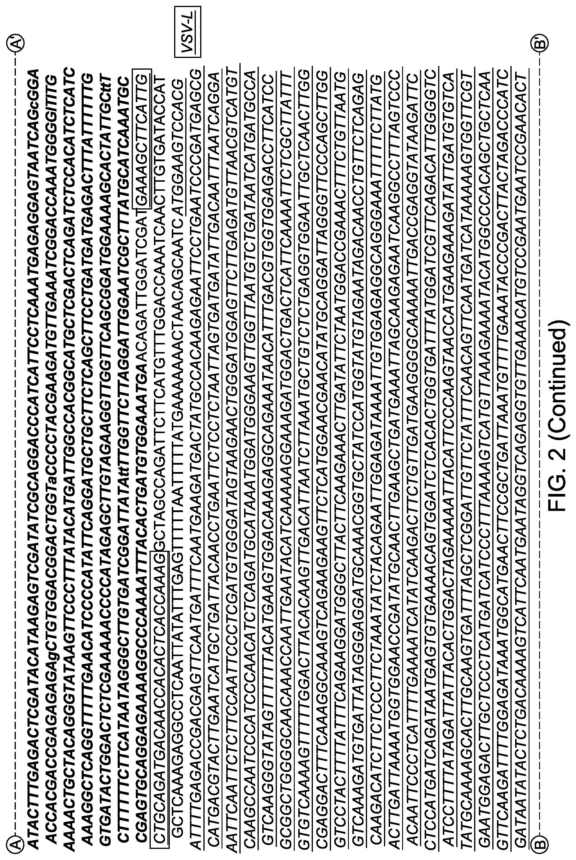 Patent US12311000 Figure 4 – Chimeric vesiculoviruses and methods of use