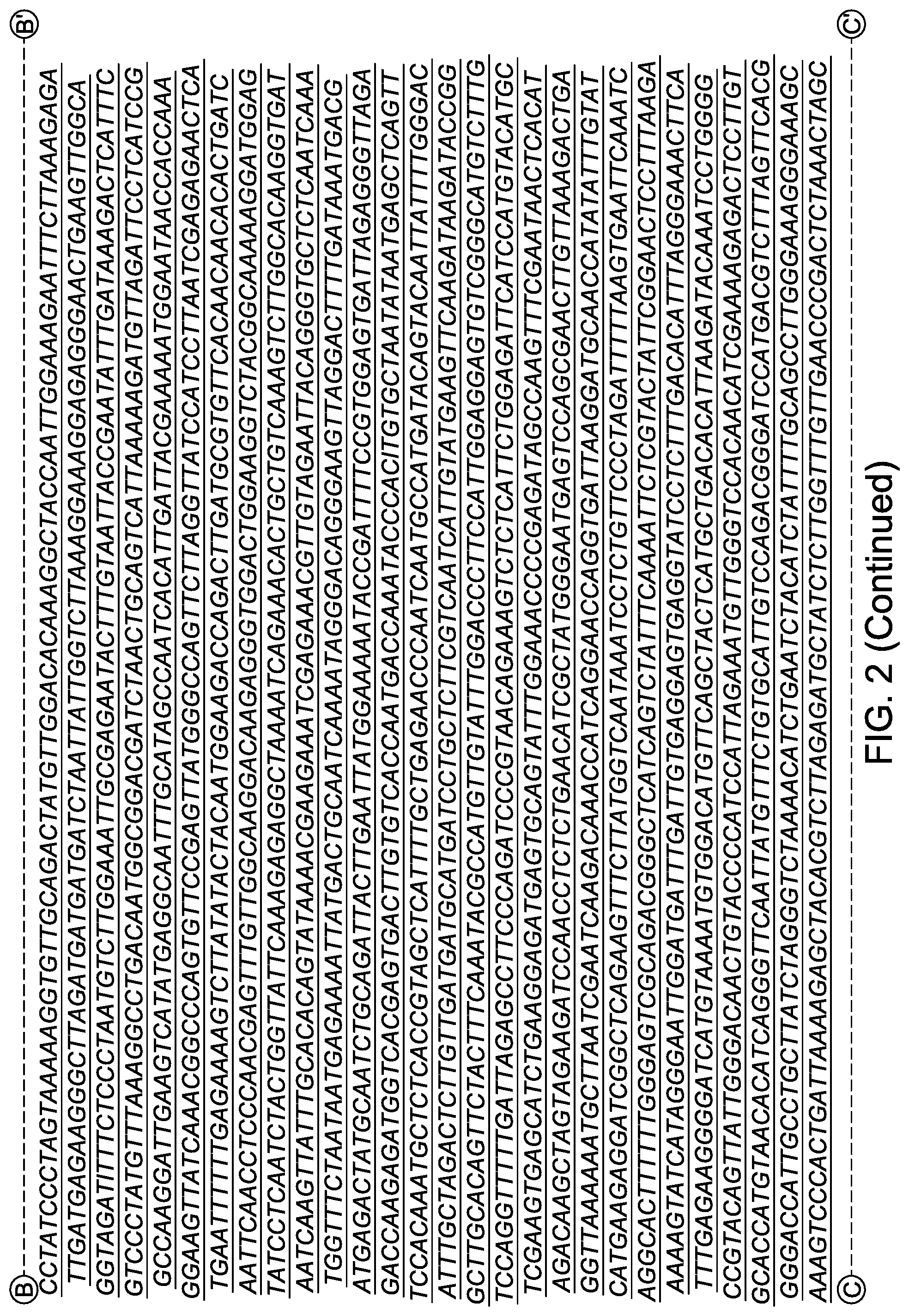 Patent US12311000 Figure 5 – Chimeric vesiculoviruses and methods of use
