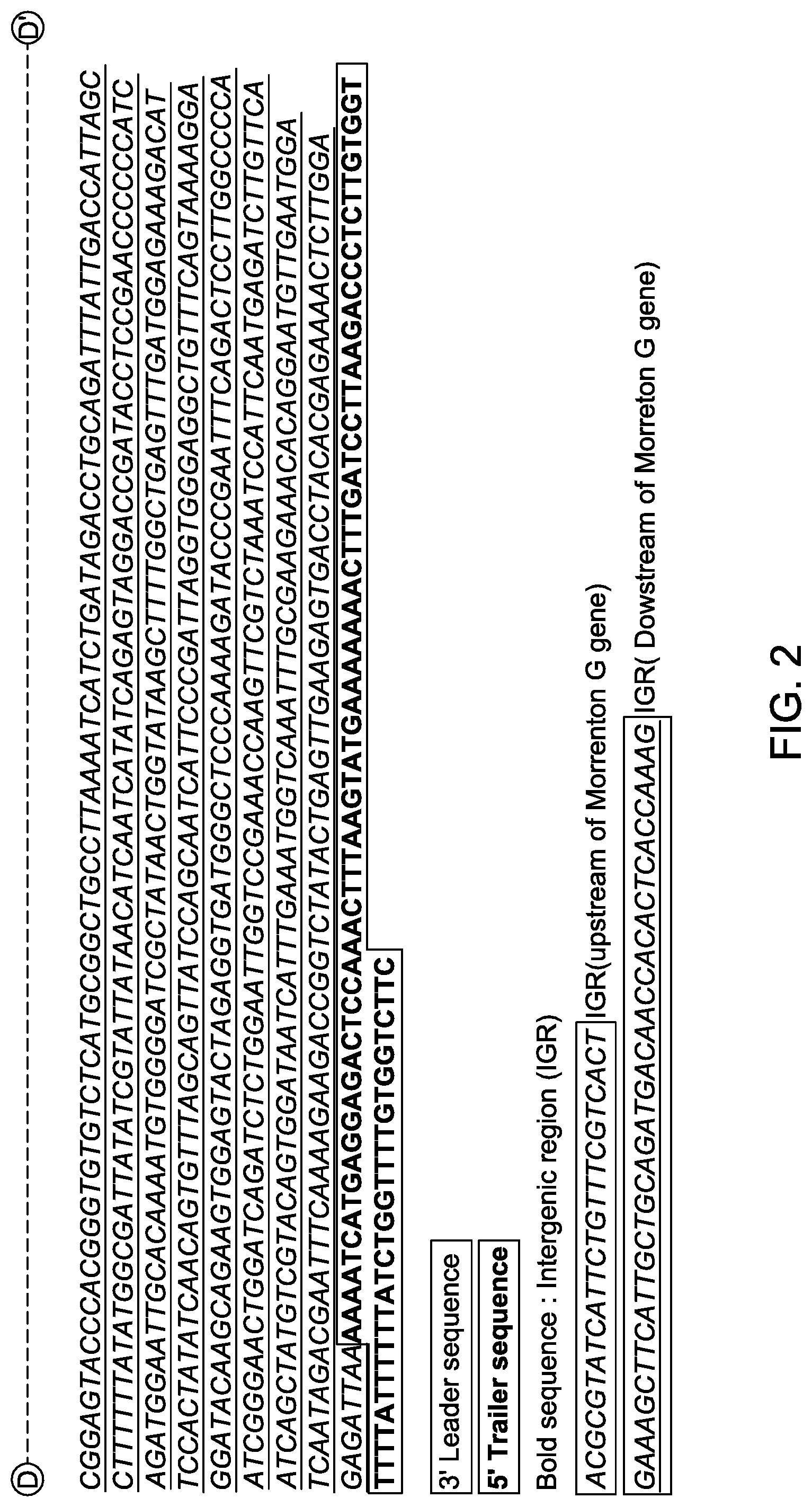 Patent US12311000 Figure 7 – Chimeric vesiculoviruses and methods of use