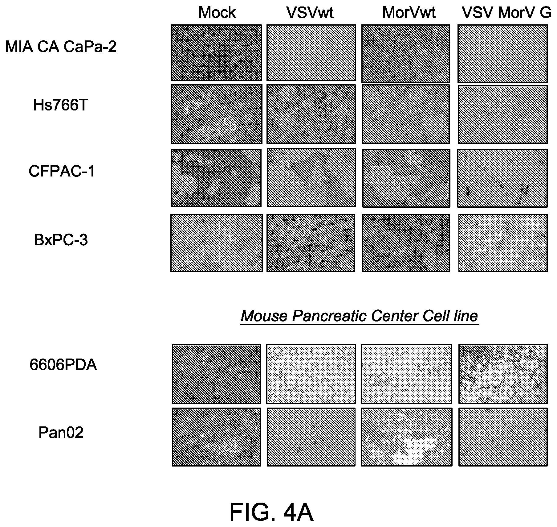 Patent US12311000 Figure 9 – Chimeric vesiculoviruses and methods of use
