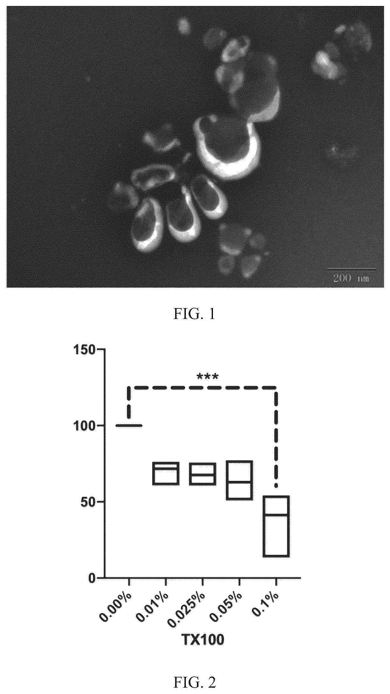 Patent US12311001 Figure 1 – Use of extracellular vesicles of Rhizoma Drynariae in preparation of medicine for treating orthopedic diseases