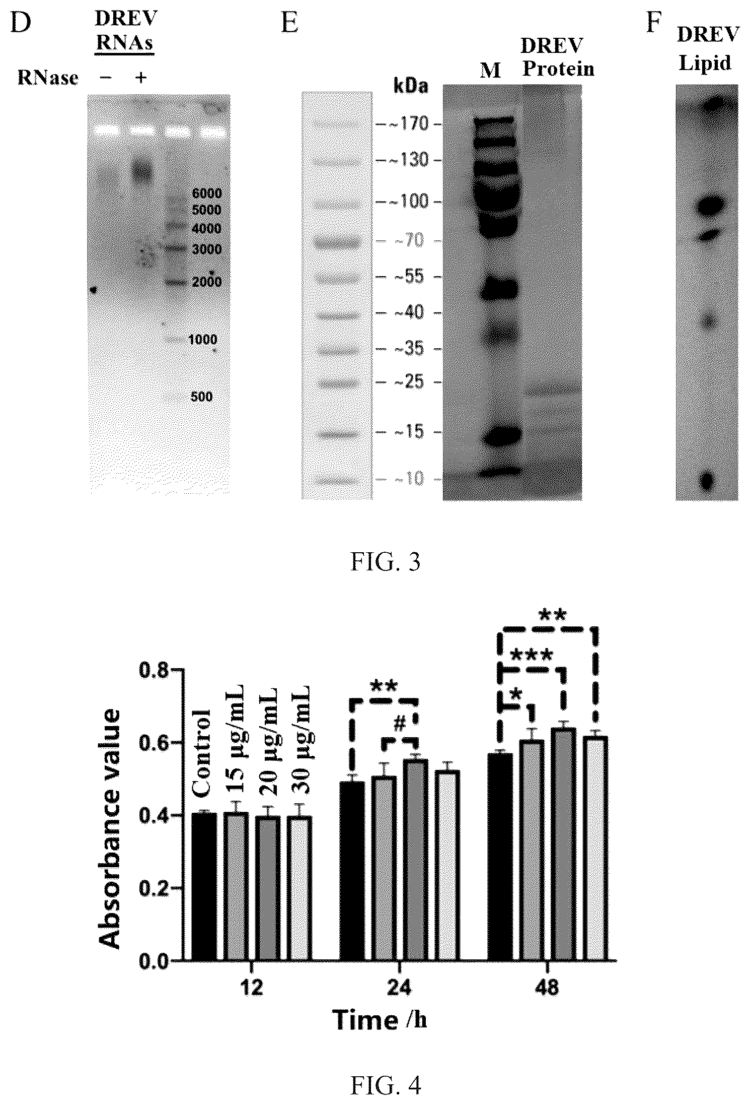 Patent US12311001 Figure 2 – Use of extracellular vesicles of Rhizoma Drynariae in preparation of medicine for treating orthopedic diseases