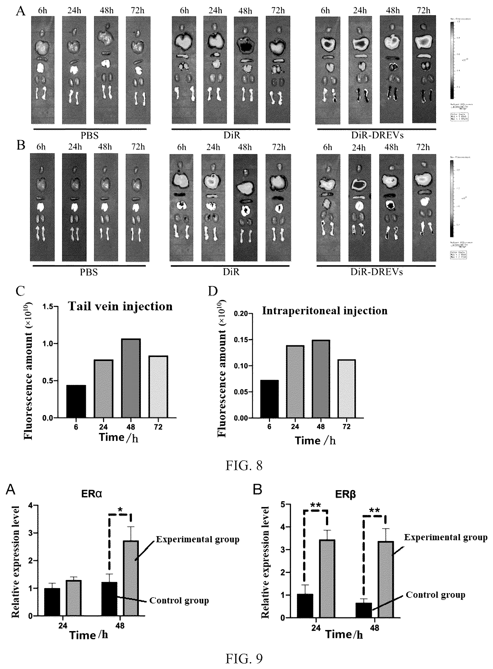 Patent US12311001 Figure 4 – Use of extracellular vesicles of Rhizoma Drynariae in preparation of medicine for treating orthopedic diseases