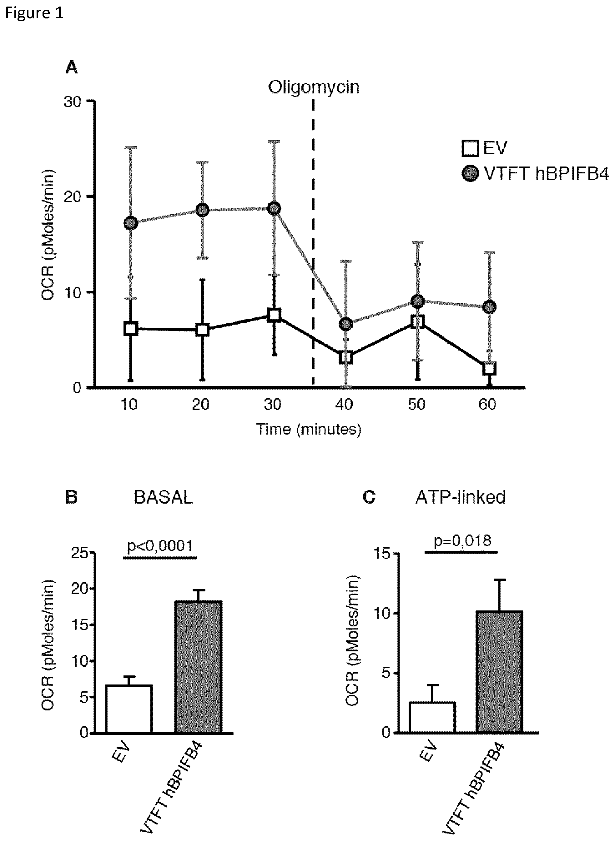 Patent US12311009 Figure 1 – Methods for treating huntington's disease using a polynucleotide encoding a VTFT isoform of a BPIFB4 protein