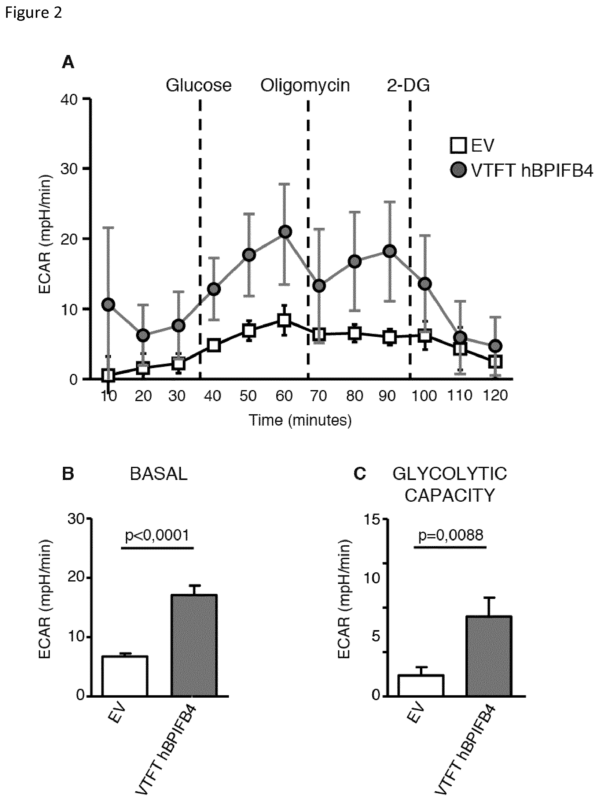 Patent US12311009 Figure 2 – Methods for treating huntington's disease using a polynucleotide encoding a VTFT isoform of a BPIFB4 protein
