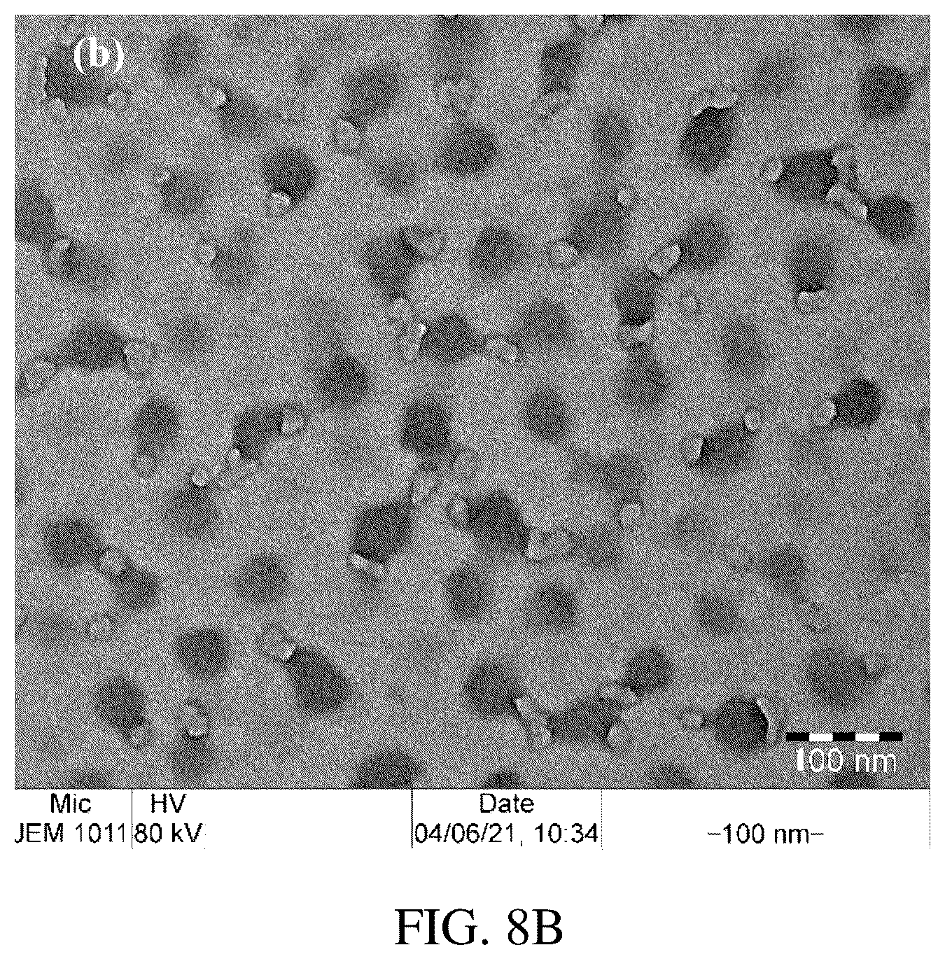 Patent US12311013 Figure 9 – Gels for insulin delivery
