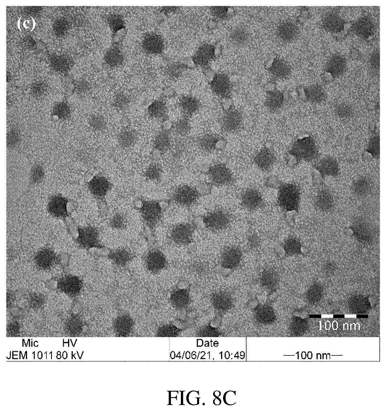 Patent US12311013 Figure 10 – Gels for insulin delivery