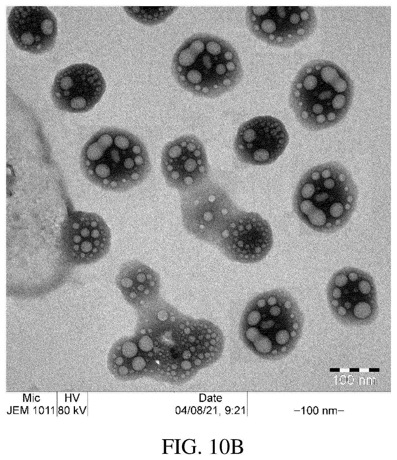 Patent US12311013 Figure 15 – Gels for insulin delivery