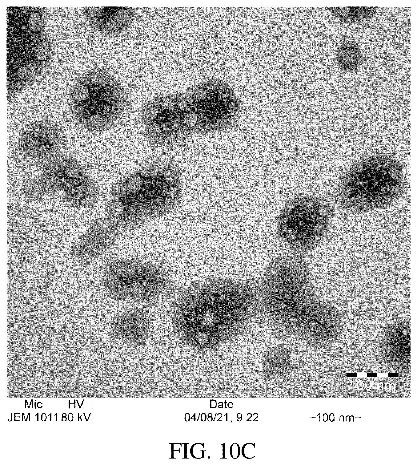 Patent US12311013 Figure 16 – Gels for insulin delivery