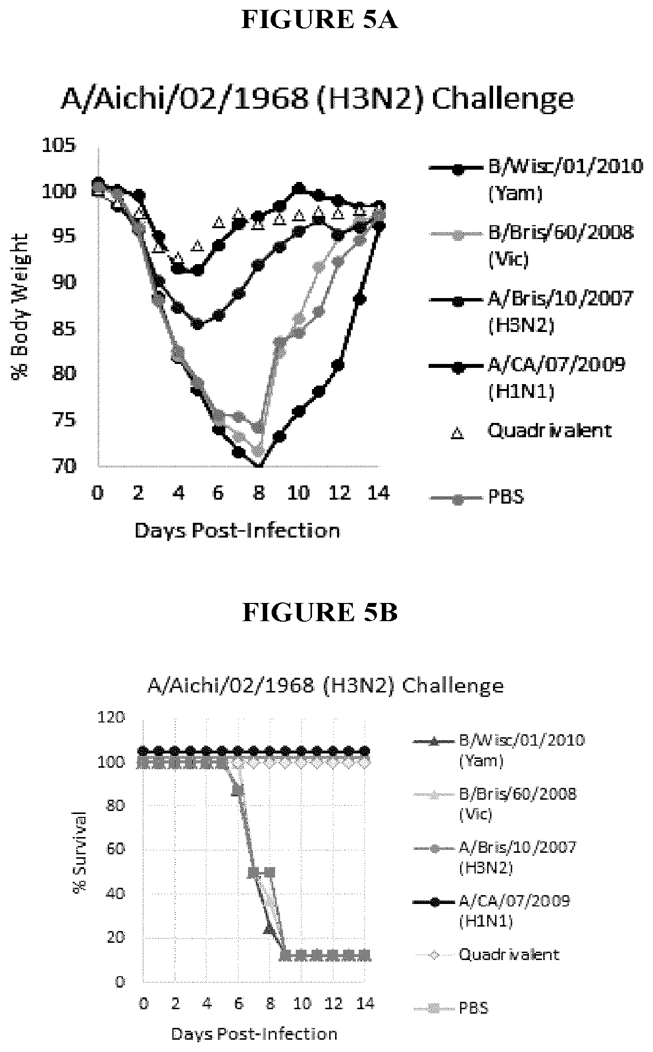 Patent US12311020 Figure 6 – Immunogenic compositions against influenza