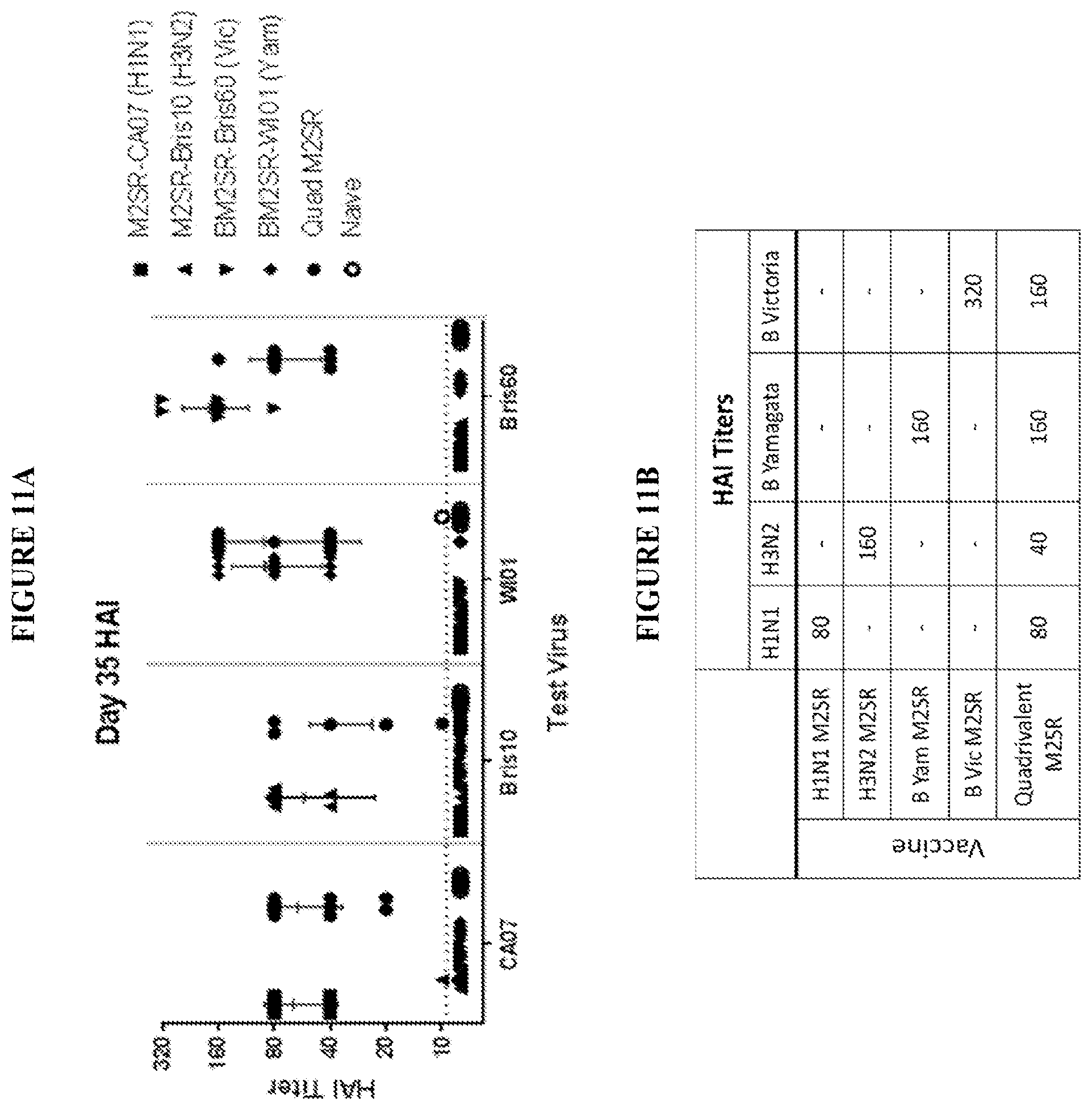 Patent US12311020 Figure 13 – Immunogenic compositions against influenza