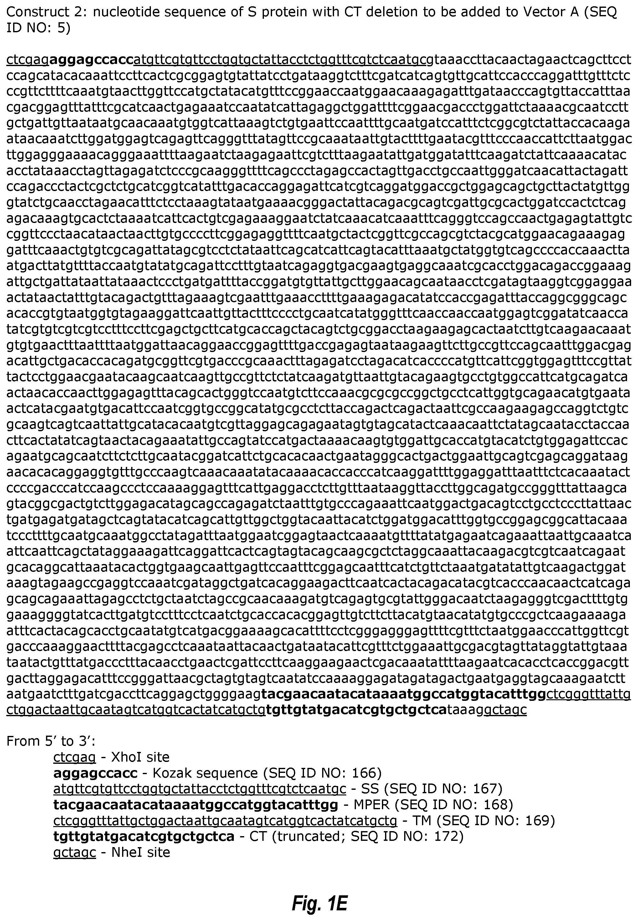 Patent US12311021 Figure 5 – Replication-competent attenuated chimeric VSV vectors encoding immunogenic SARS-CoV-2 spike proteins