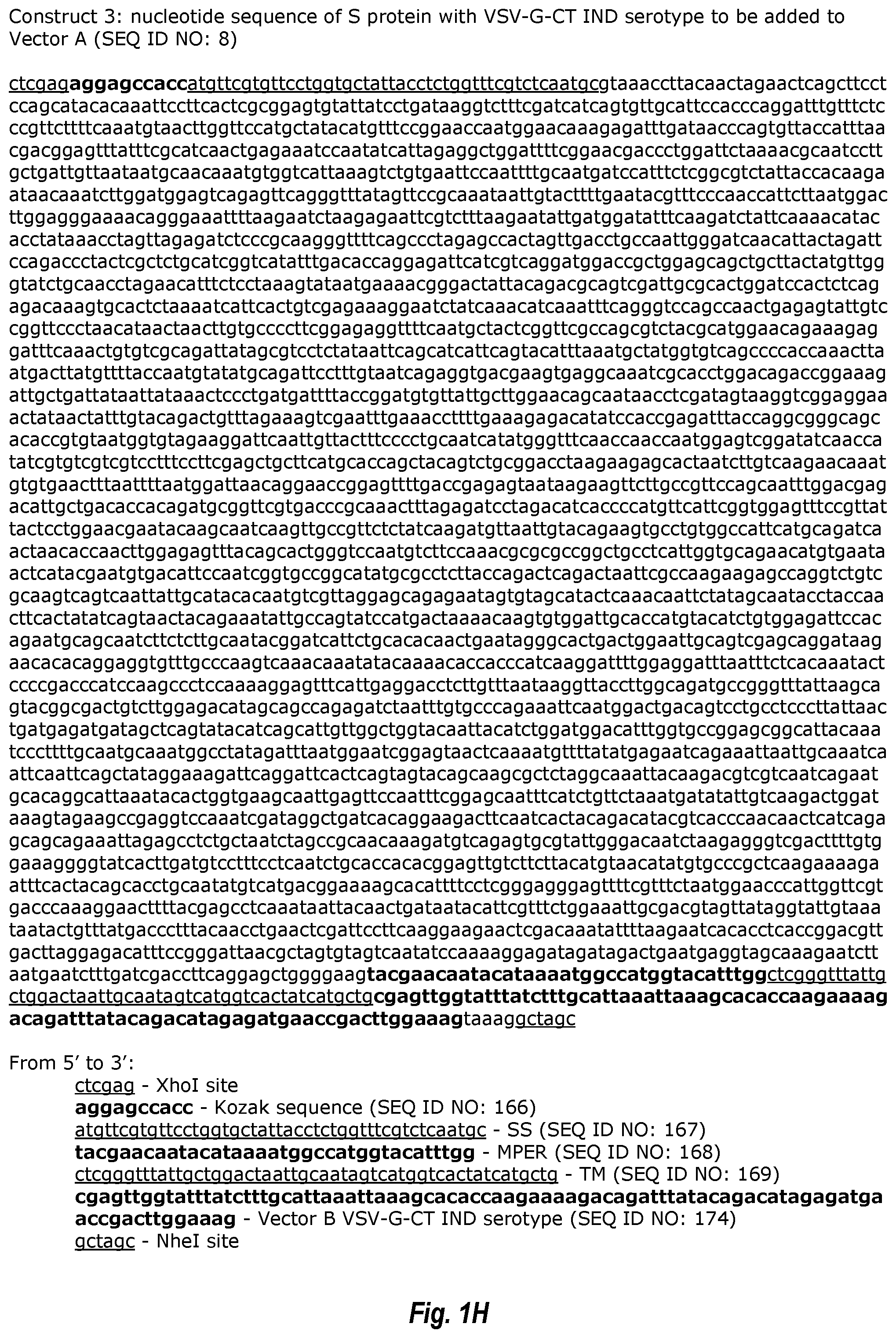 Patent US12311021 Figure 8 – Replication-competent attenuated chimeric VSV vectors encoding immunogenic SARS-CoV-2 spike proteins