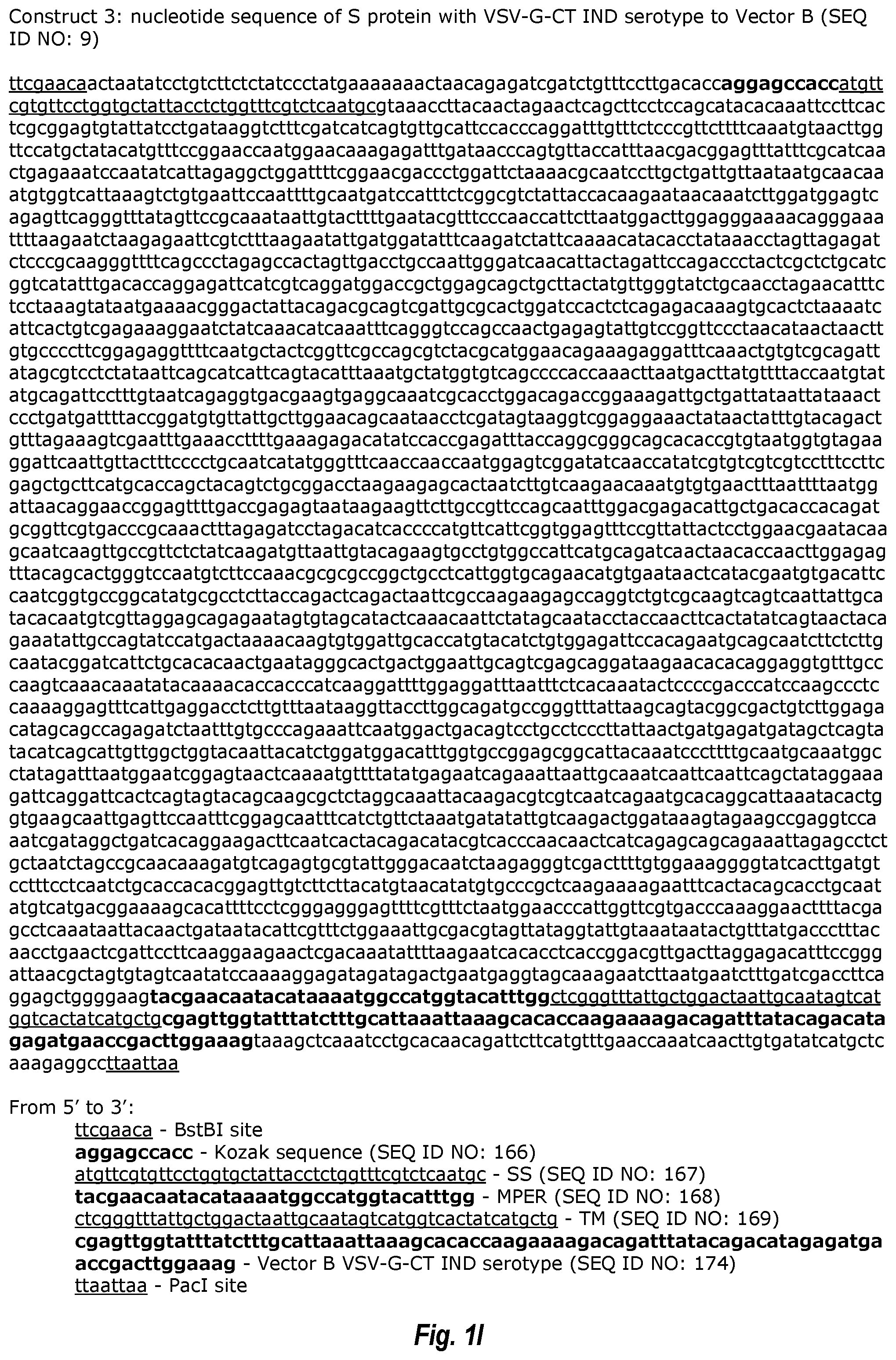 Patent US12311021 Figure 9 – Replication-competent attenuated chimeric VSV vectors encoding immunogenic SARS-CoV-2 spike proteins