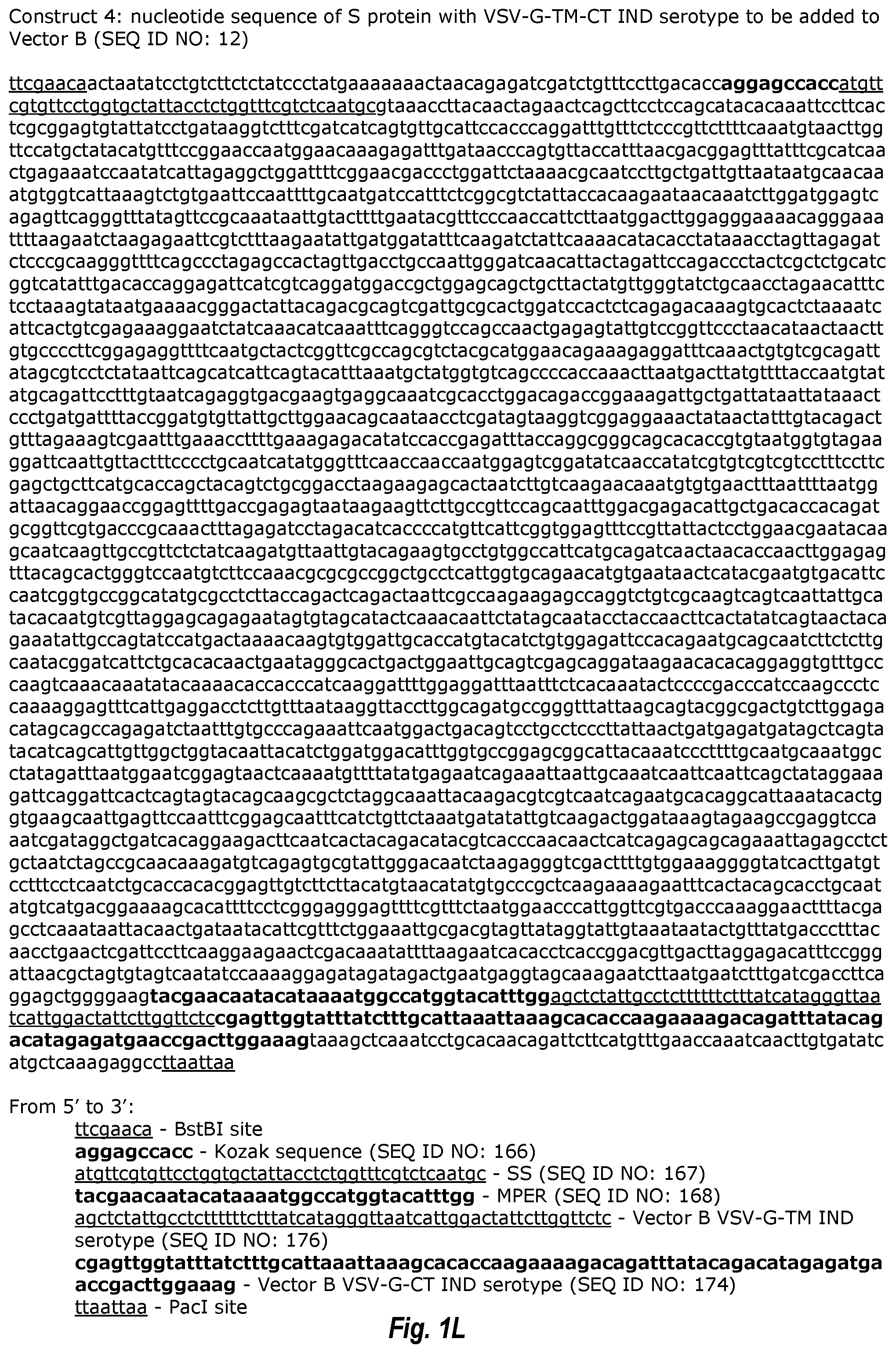 Patent US12311021 Figure 12 – Replication-competent attenuated chimeric VSV vectors encoding immunogenic SARS-CoV-2 spike proteins