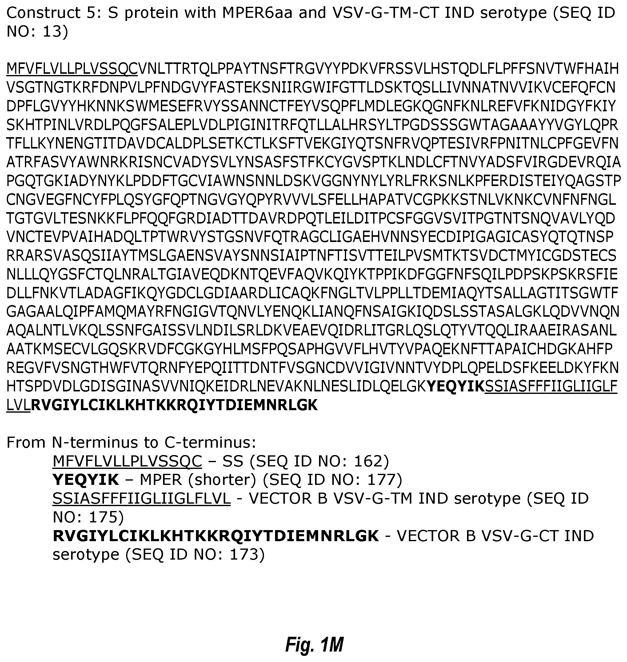 Patent US12311021 Figure 13 – Replication-competent attenuated chimeric VSV vectors encoding immunogenic SARS-CoV-2 spike proteins