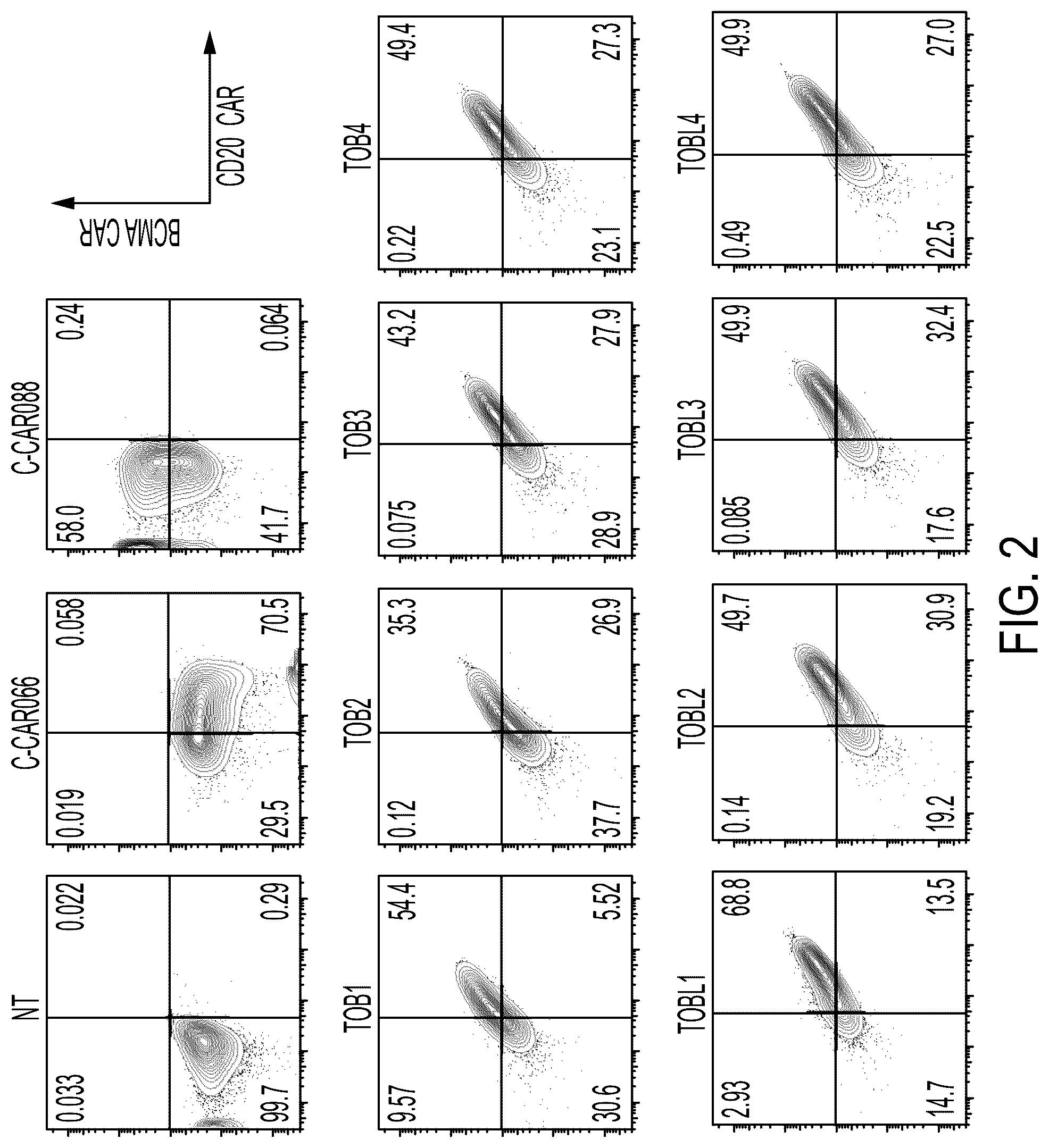 Patent US12311022 Figure 2 – Bispecific chimeric antigen receptors targeting CD20 and BCMA