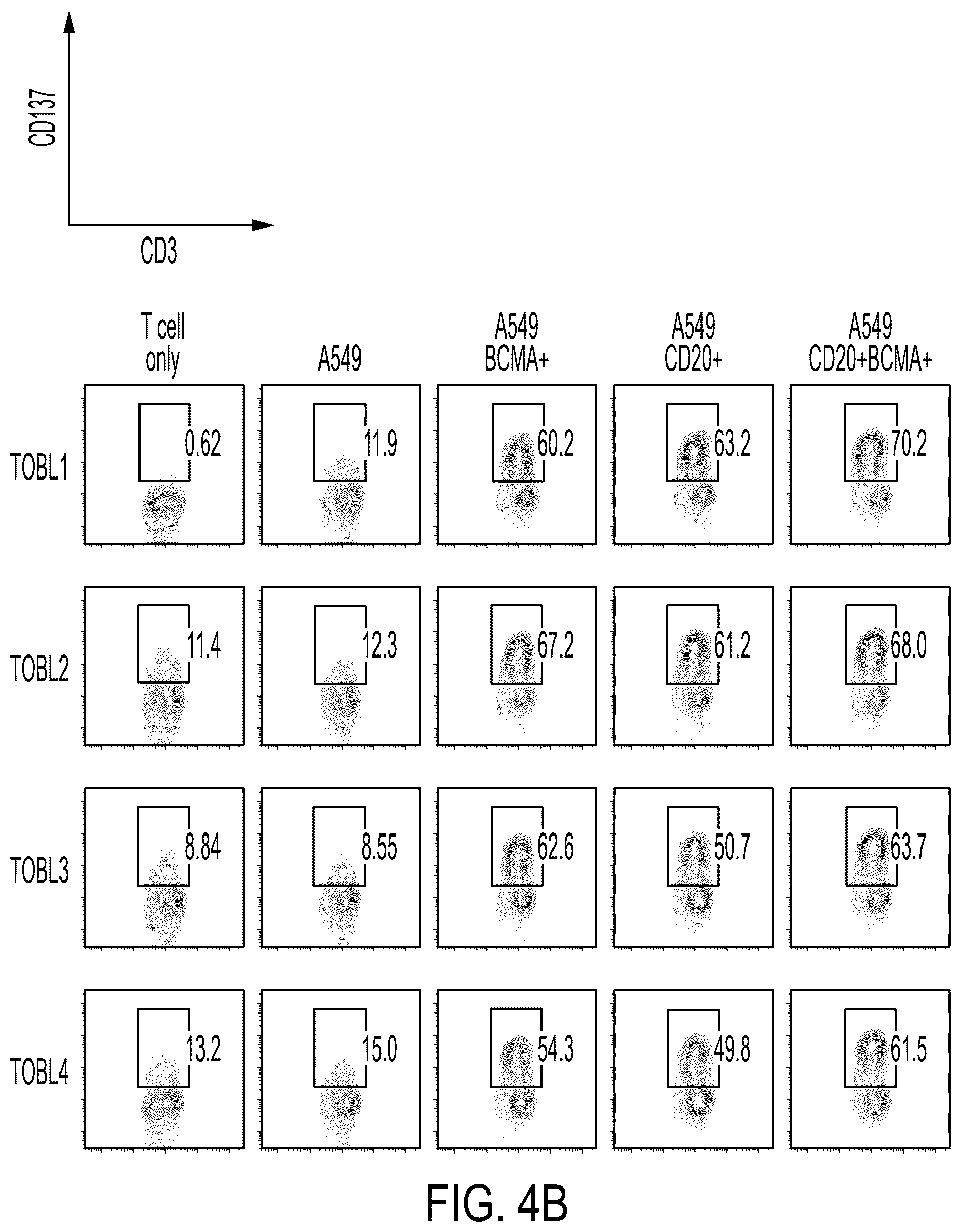 Patent US12311022 Figure 7 – Bispecific chimeric antigen receptors targeting CD20 and BCMA