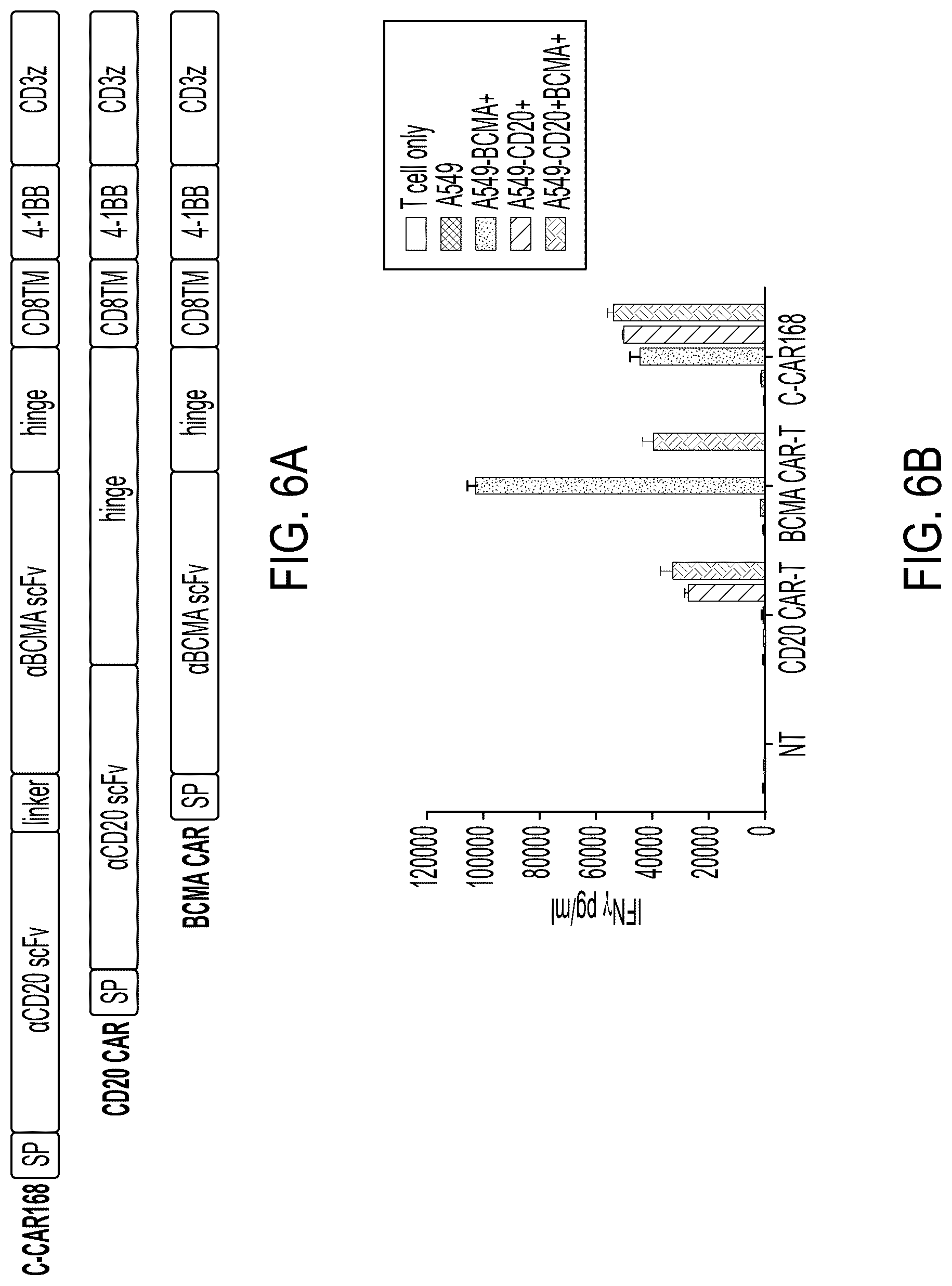 Patent US12311022 Figure 10 – Bispecific chimeric antigen receptors targeting CD20 and BCMA