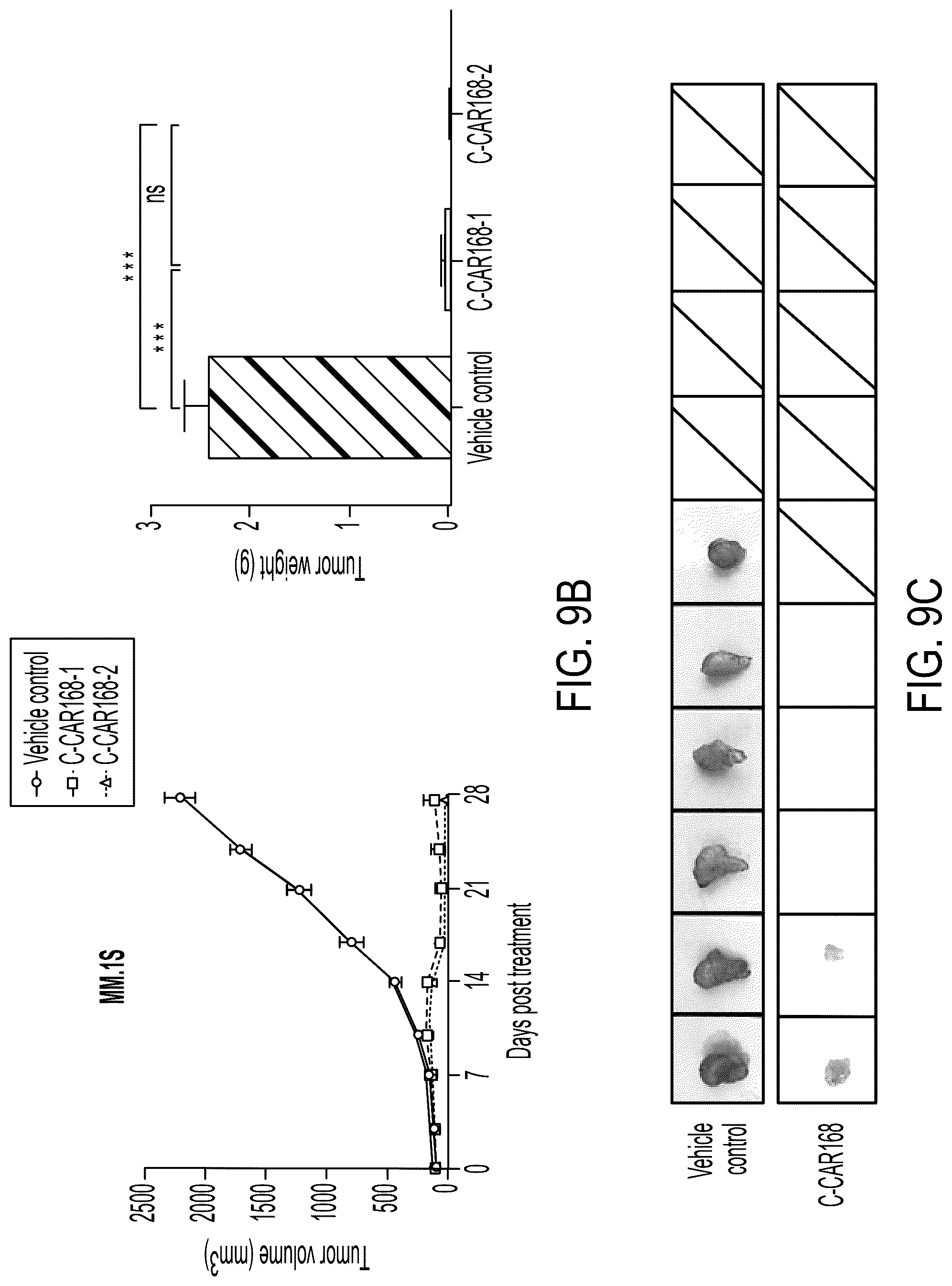 Patent US12311022 Figure 19 – Bispecific chimeric antigen receptors targeting CD20 and BCMA