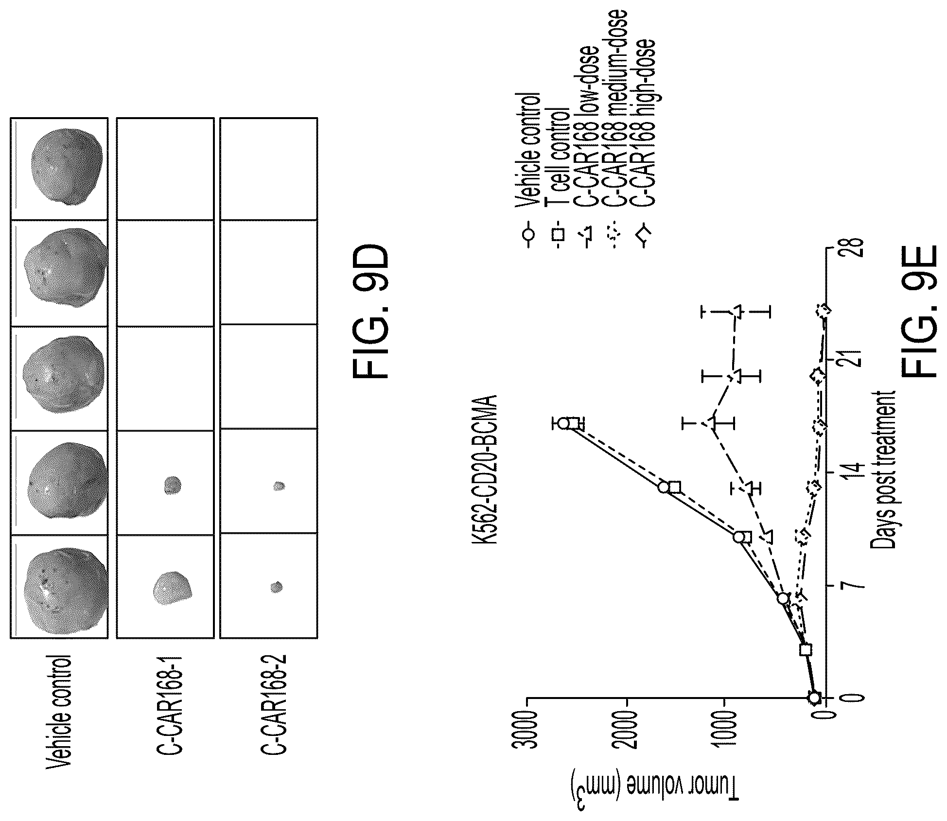 Patent US12311022 Figure 20 – Bispecific chimeric antigen receptors targeting CD20 and BCMA