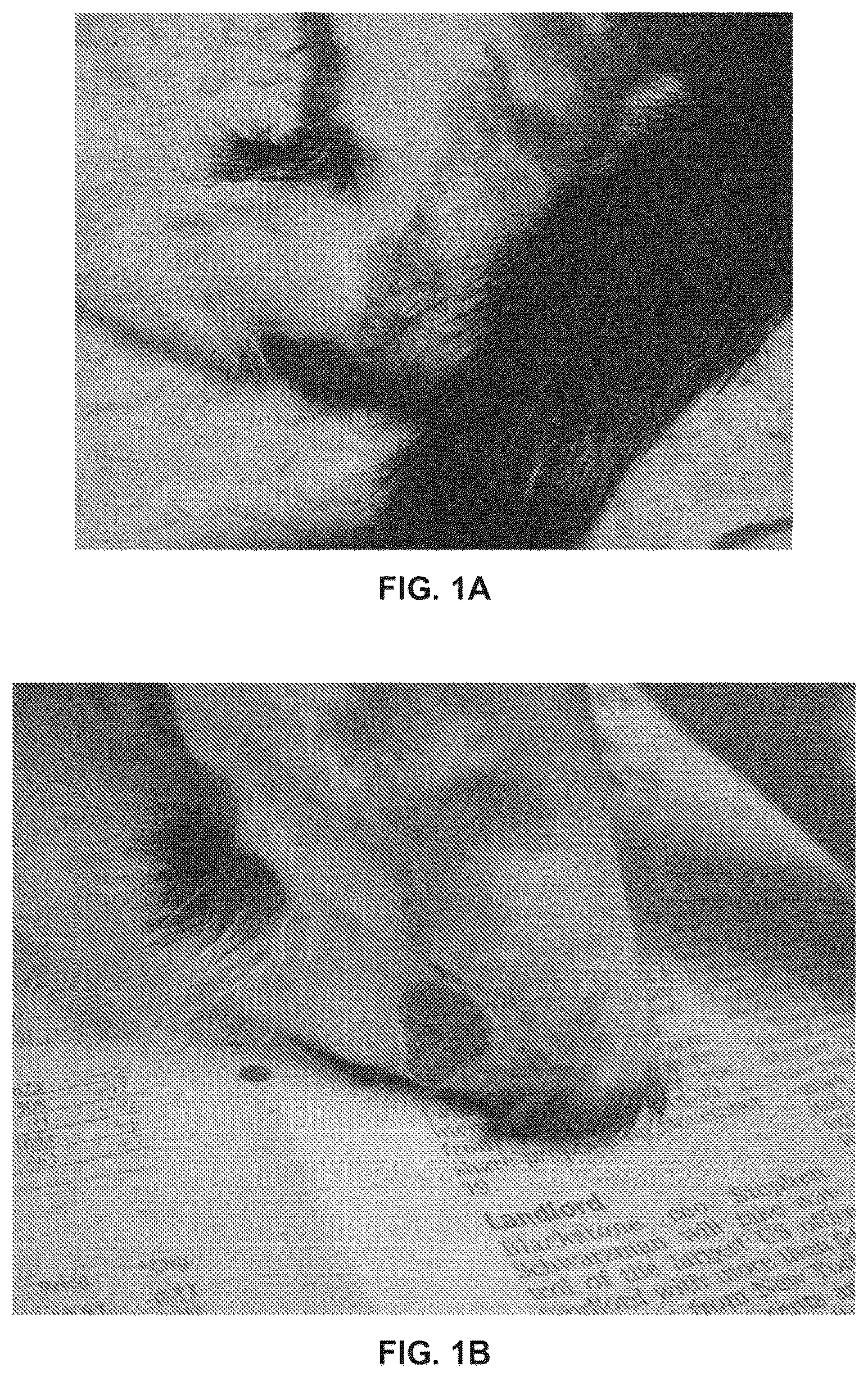 Patent US12311023 Figure 1 – Homeopathic complex