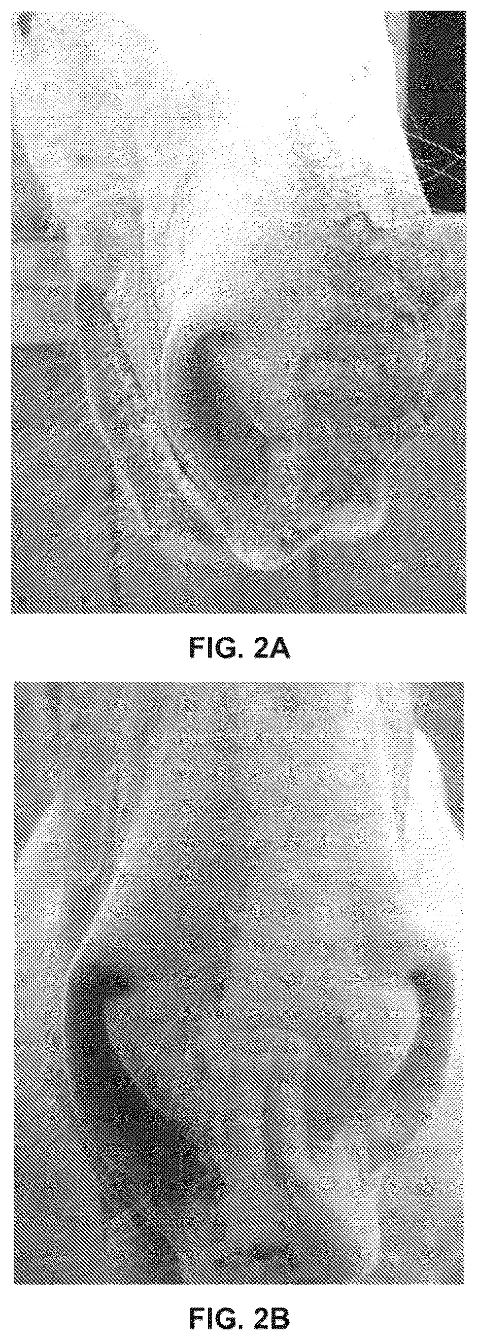 Patent US12311023 Figure 2 – Homeopathic complex