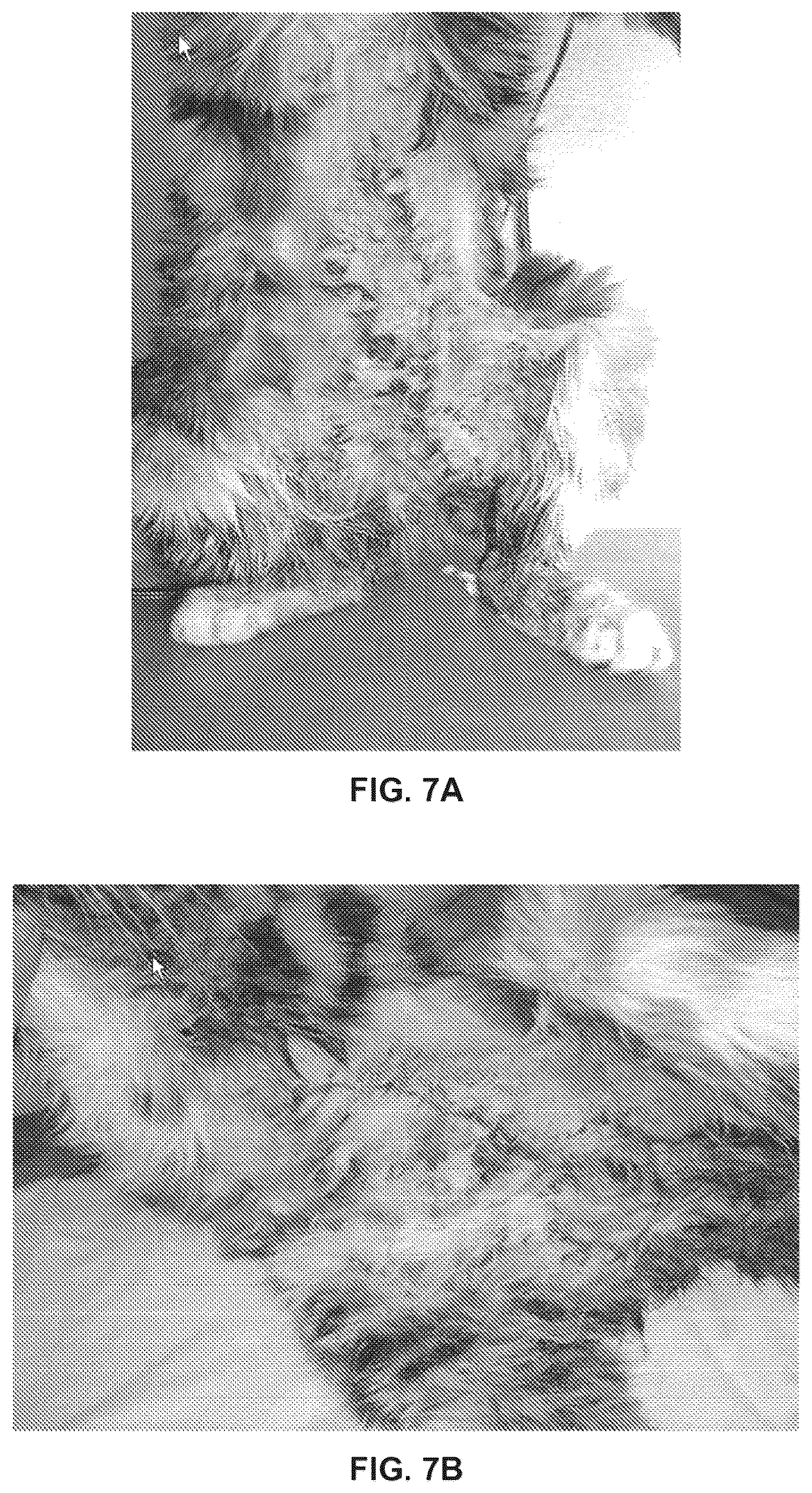 Patent US12311023 Figure 7 – Homeopathic complex