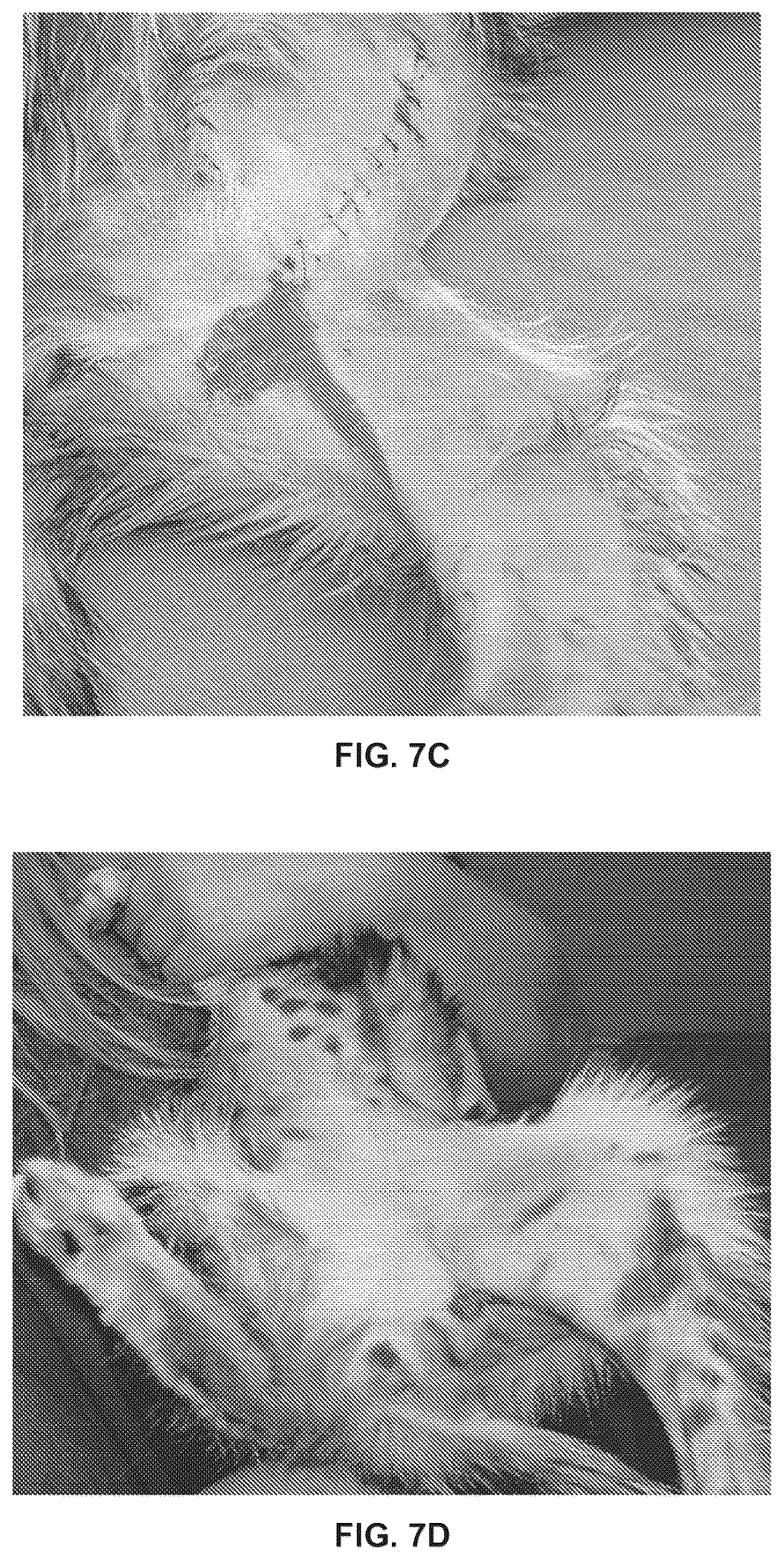 Patent US12311023 Figure 8 – Homeopathic complex