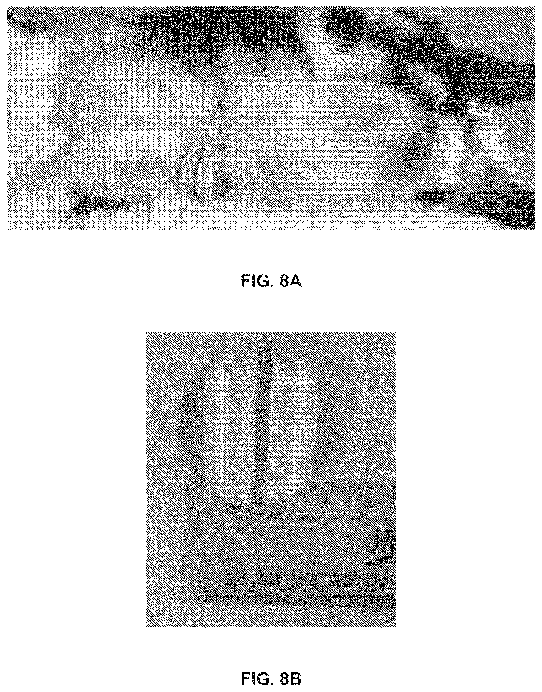 Patent US12311023 Figure 9 – Homeopathic complex