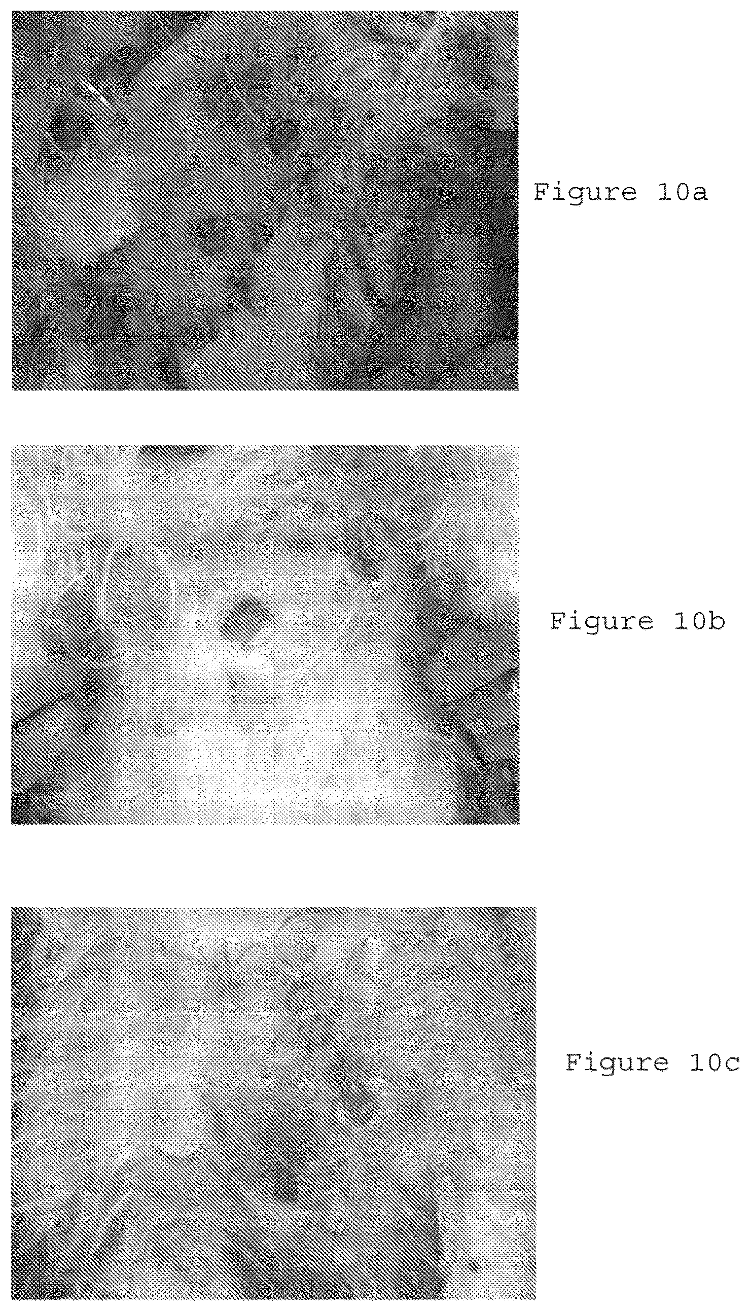 Patent US12311023 Figure 11 – Homeopathic complex