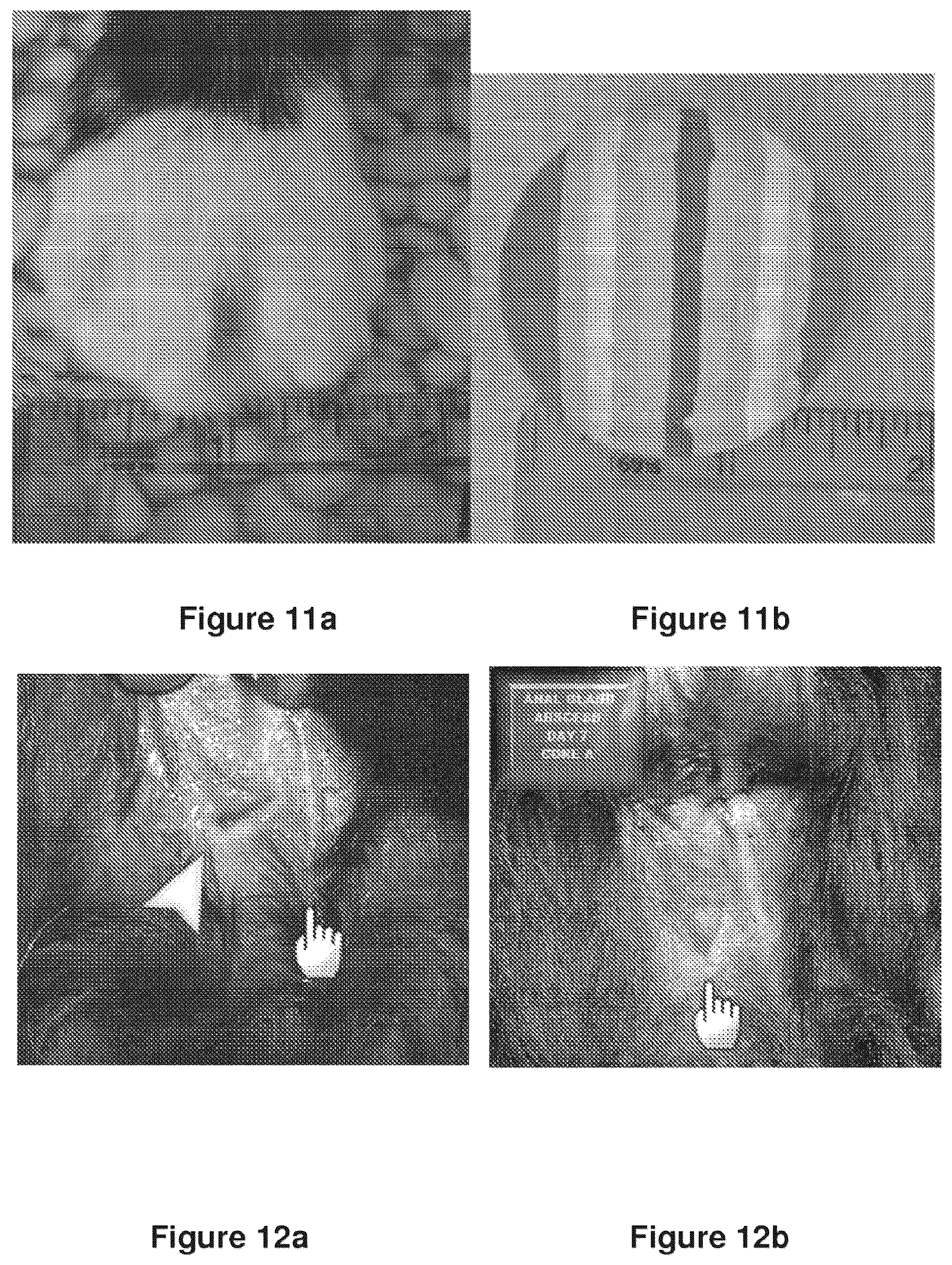 Patent US12311023 Figure 12 – Homeopathic complex