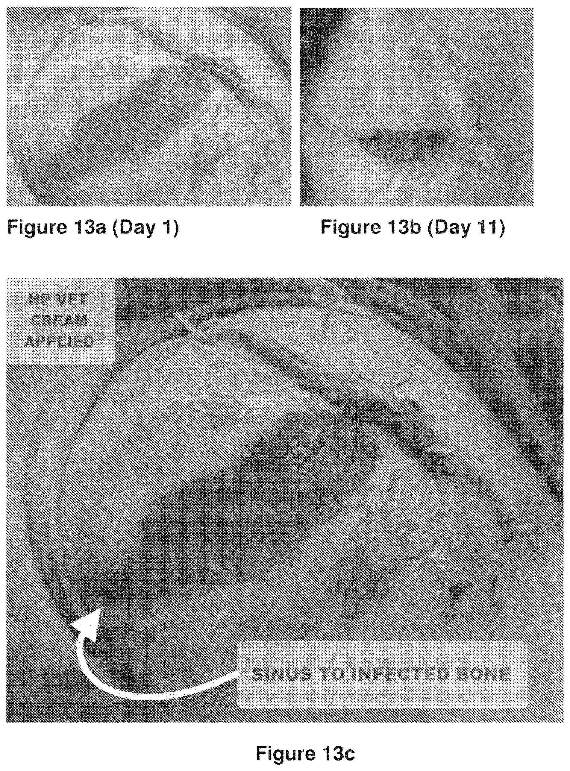 Patent US12311023 Figure 13 – Homeopathic complex