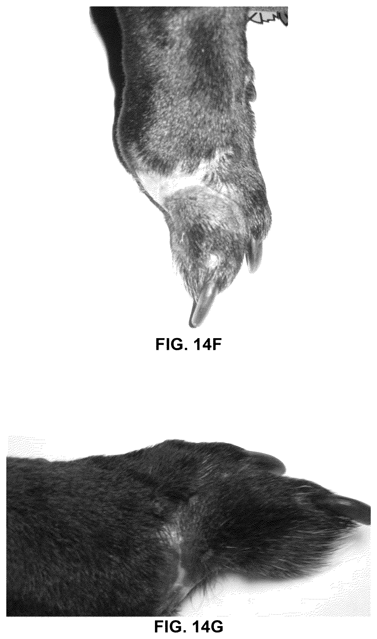 Patent US12311023 Figure 18 – Homeopathic complex