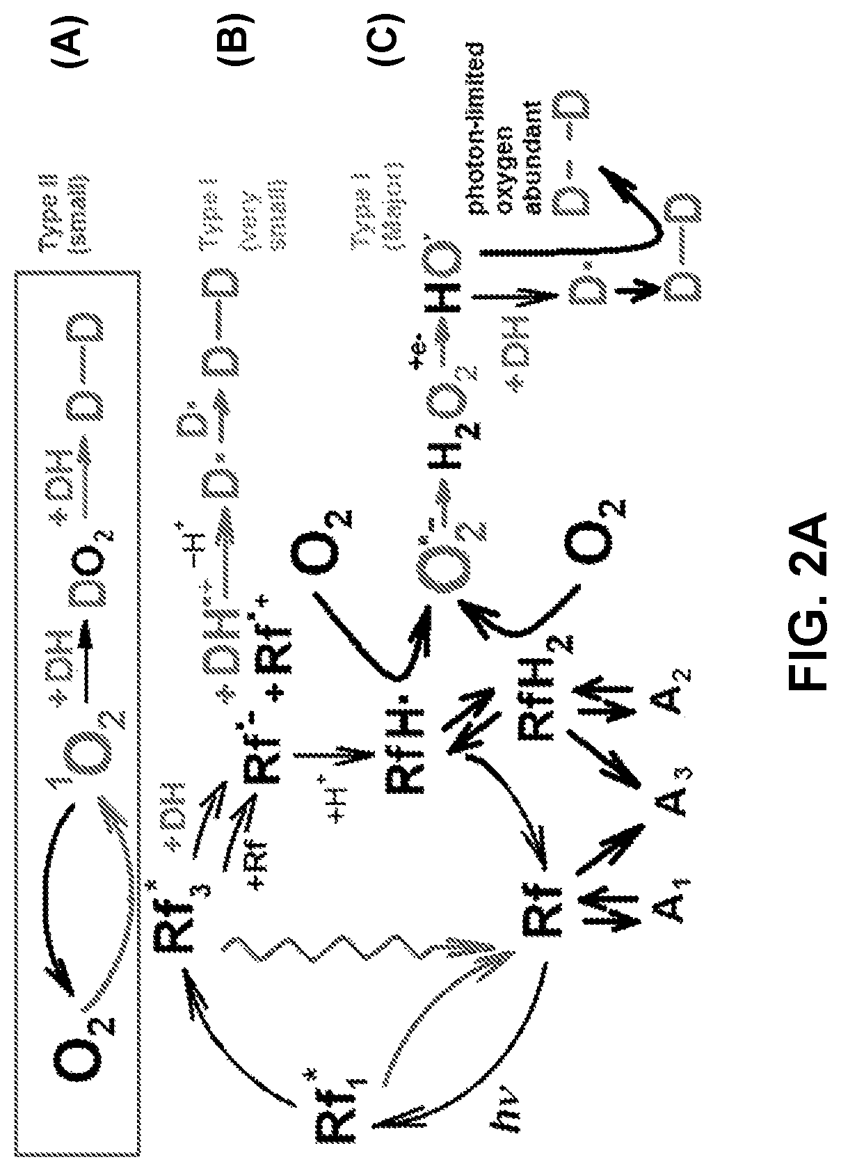 Patent US12311025 Figure 2 – Formulations for eye treatments