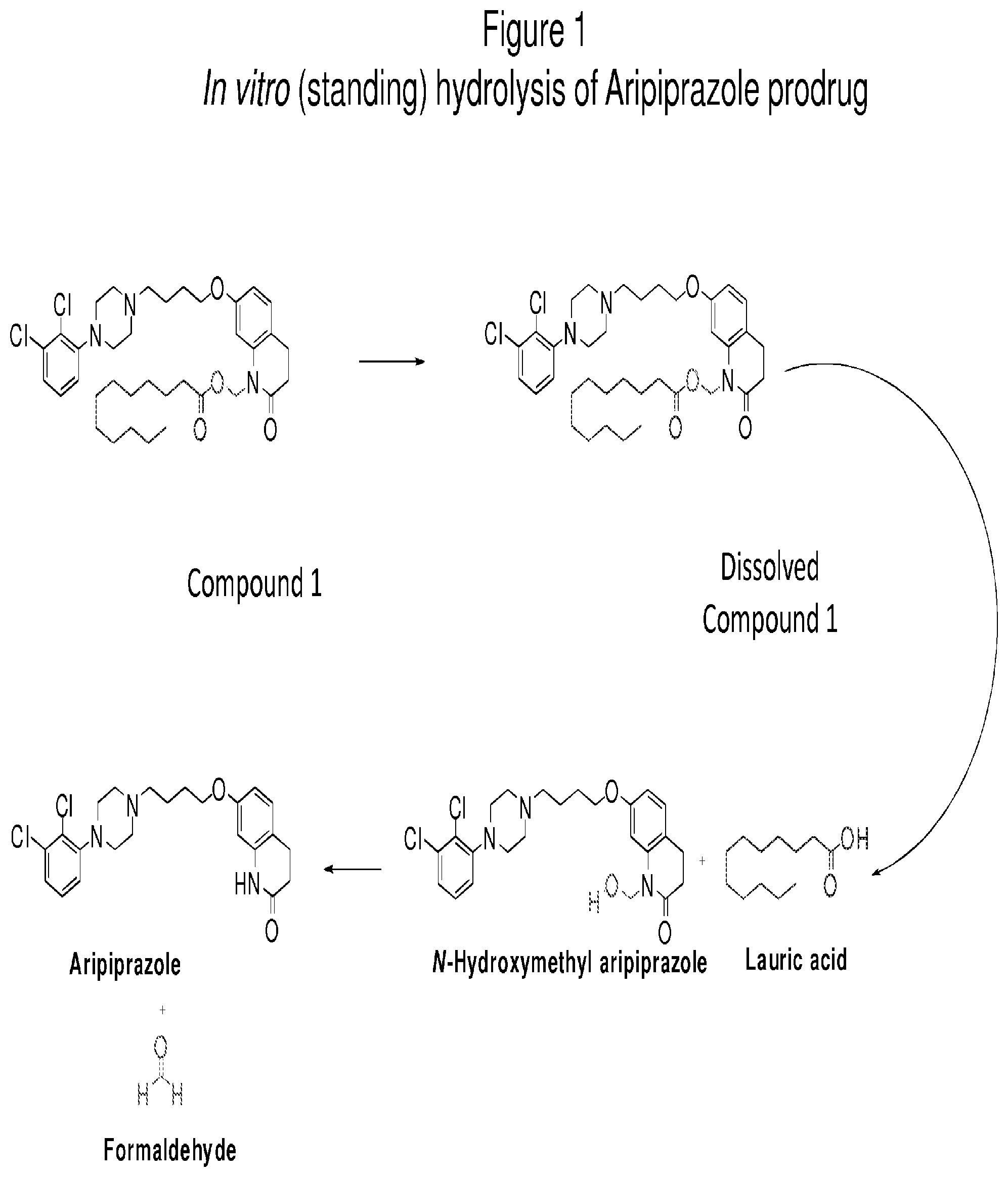 Patent US12311027 Figure 1 – Pharmaceutical compositions having improved storage stability