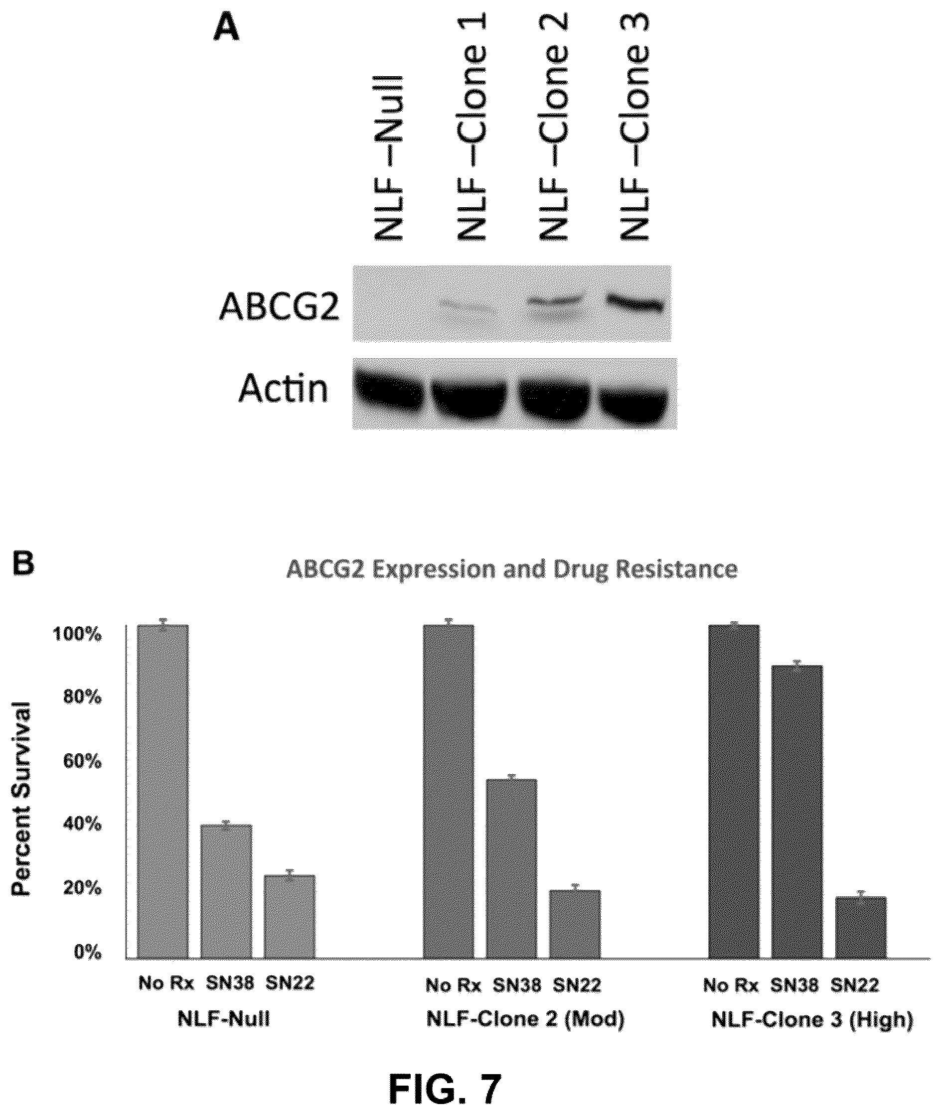 Patent US12311028 Figure 5 – Polymer-based macromolecular prodrugs