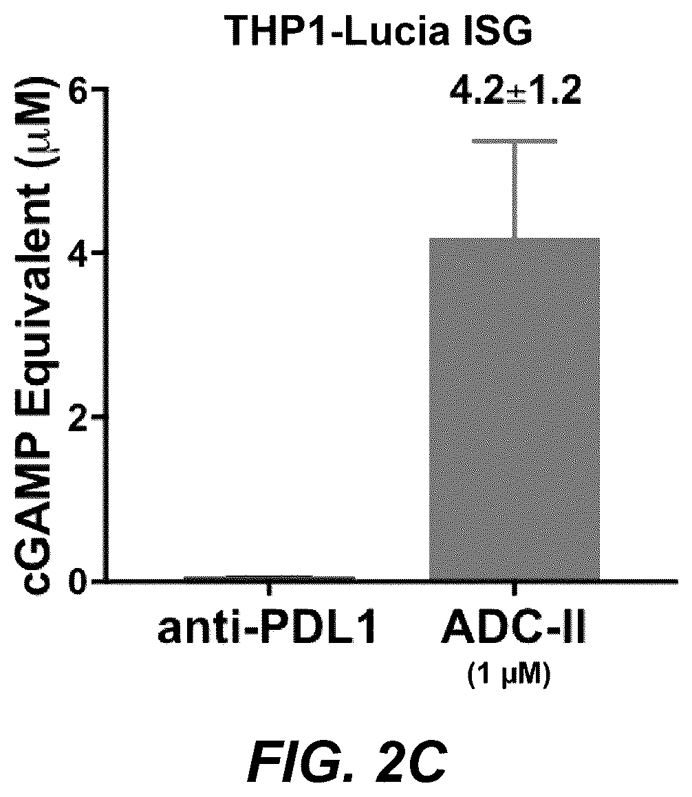 Patent US12311030 Figure 4 – Antibody-sting agonist conjugates and their use in immunotherapy