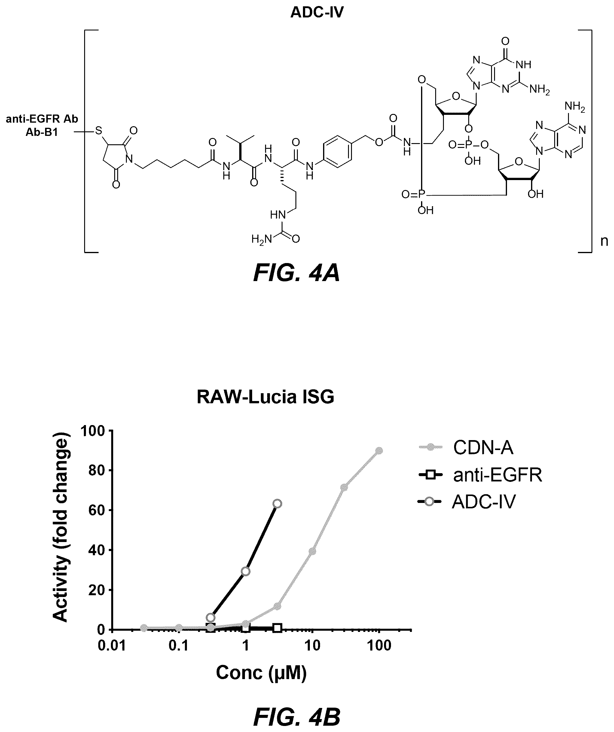 Patent US12311030 Figure 6 – Antibody-sting agonist conjugates and their use in immunotherapy