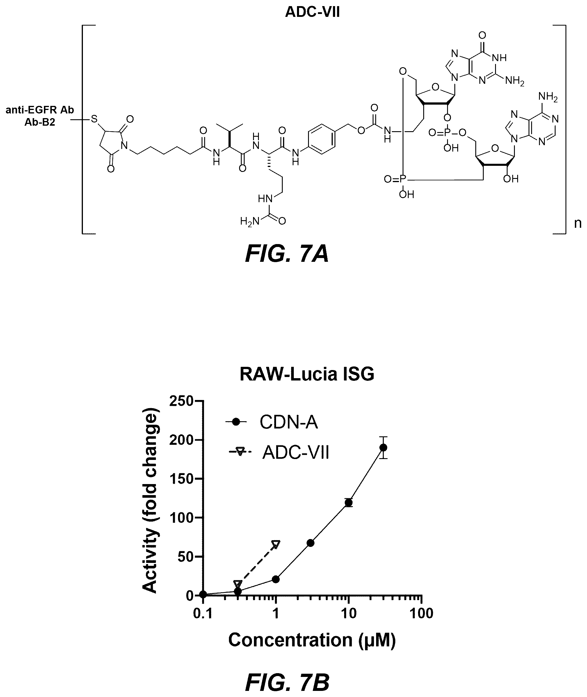 Patent US12311030 Figure 13 – Antibody-sting agonist conjugates and their use in immunotherapy