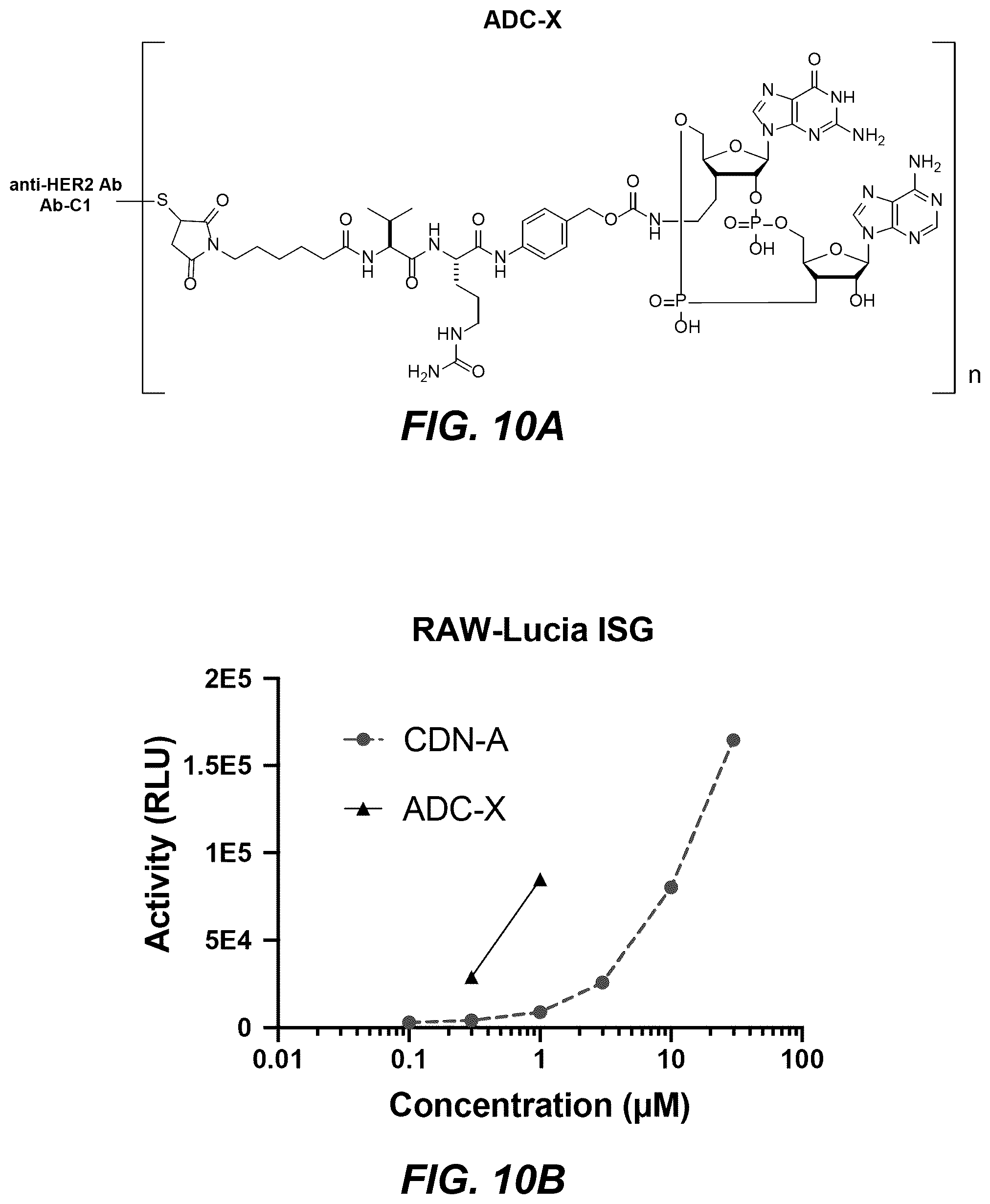 Patent US12311030 Figure 20 – Antibody-sting agonist conjugates and their use in immunotherapy