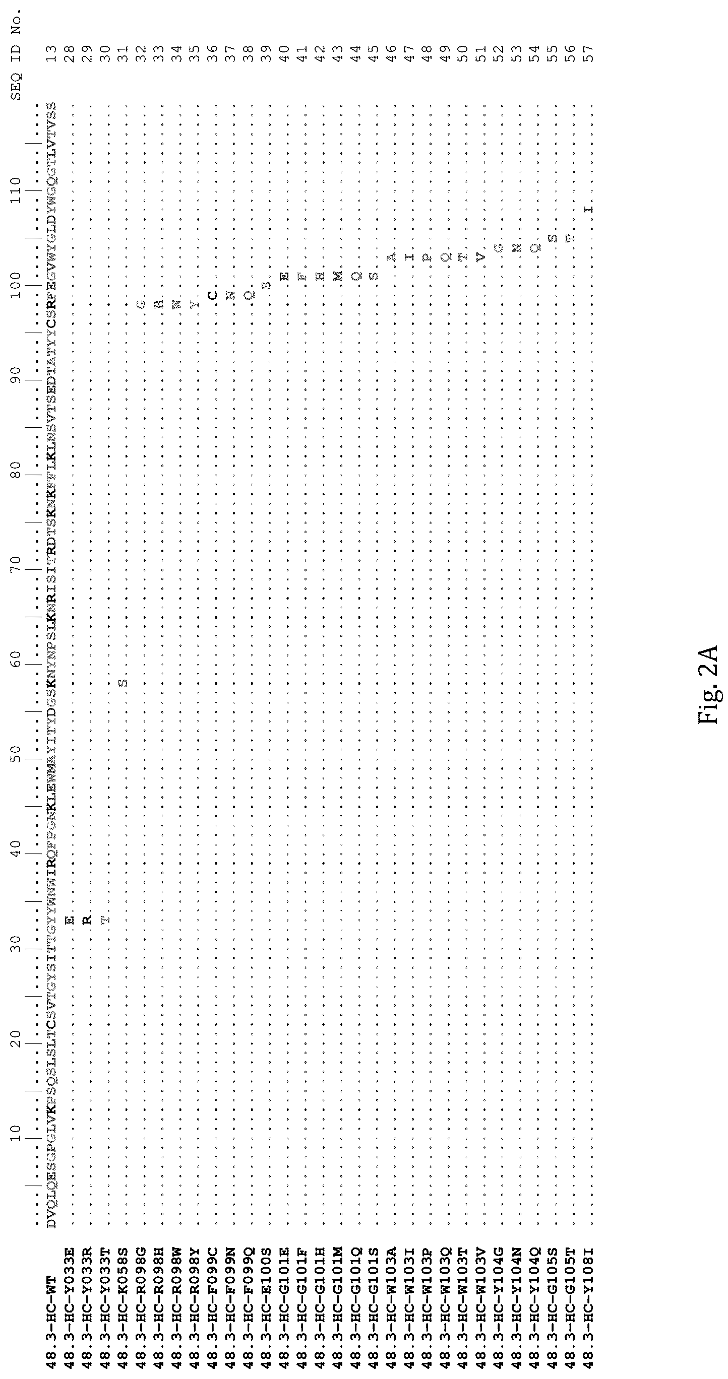 Patent US12311032 Figure 2 – Anti-Ror2 antibodies, antibody fragments, their immunoconjugates and uses thereof