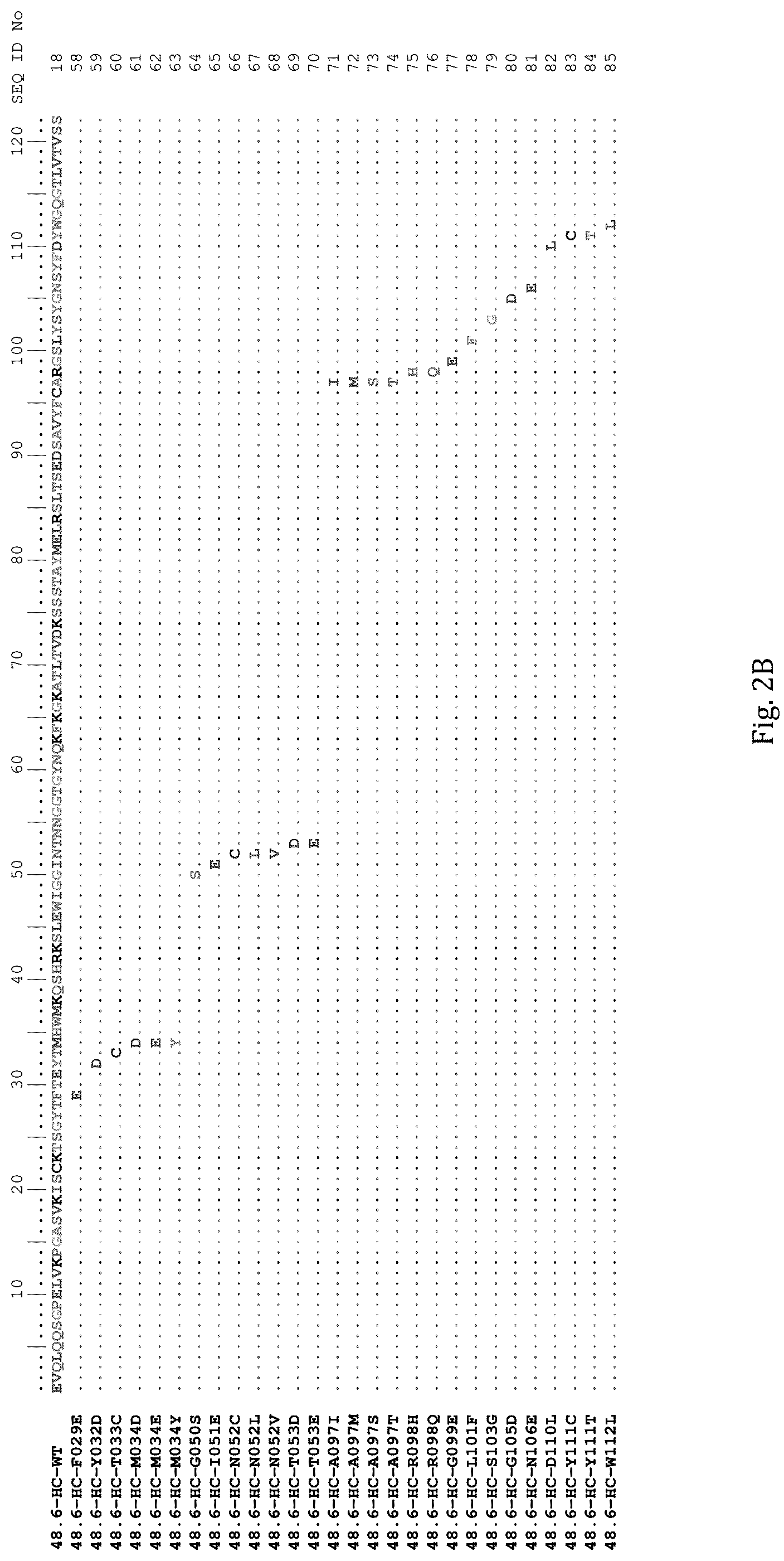 Patent US12311032 Figure 3 – Anti-Ror2 antibodies, antibody fragments, their immunoconjugates and uses thereof