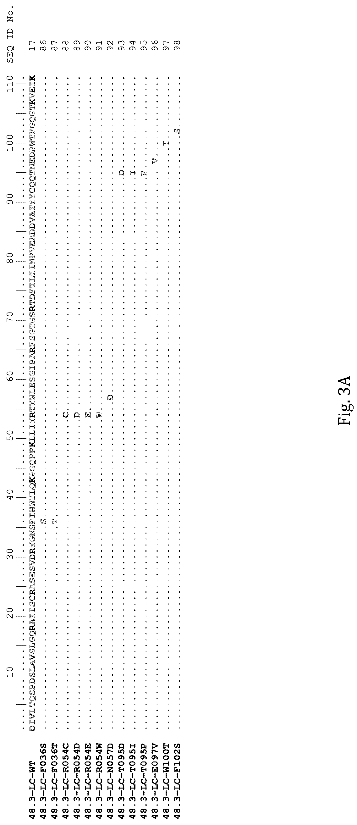 Patent US12311032 Figure 4 – Anti-Ror2 antibodies, antibody fragments, their immunoconjugates and uses thereof